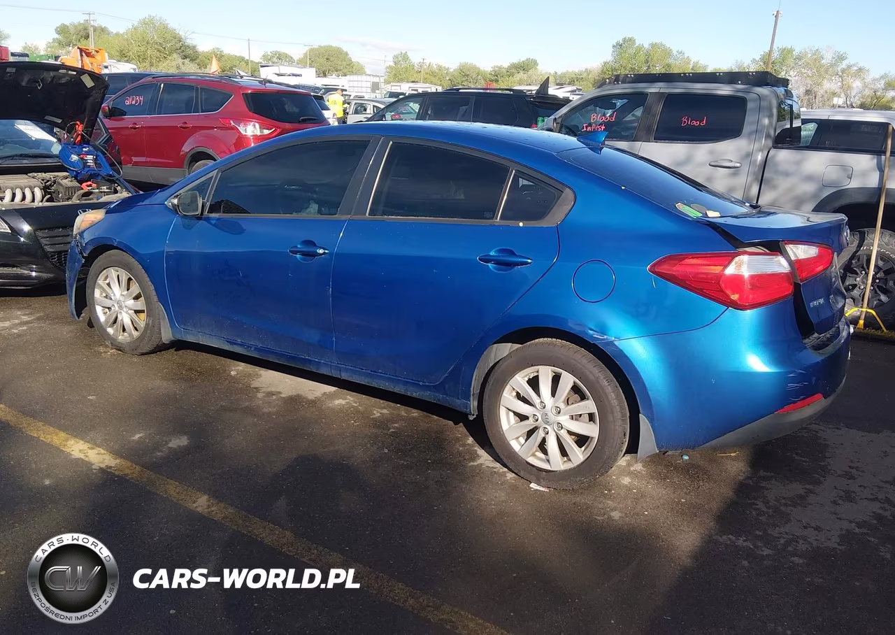 2014 Kia Forte Lx VIN:KNAFX4A68E5079747 - 3