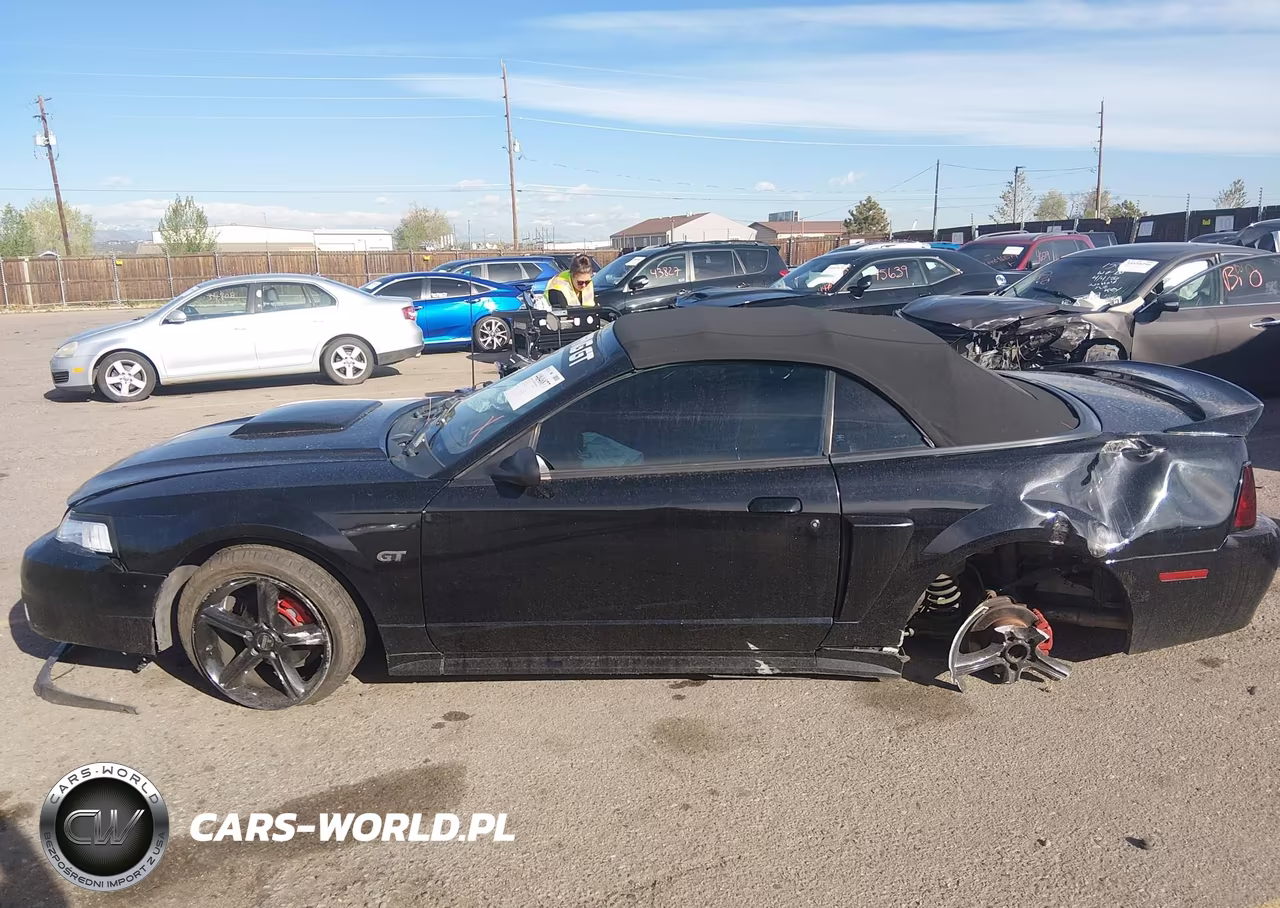 2003 Ford Mustang Gt VIN:1FAFP45X73F318868 - 15