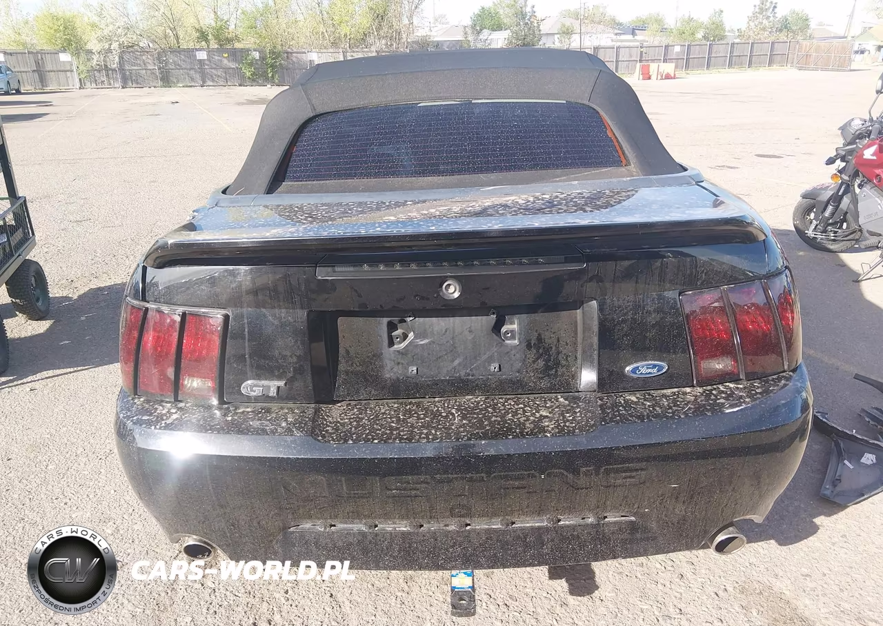 2003 Ford Mustang Gt VIN:1FAFP45X73F318868 - 17