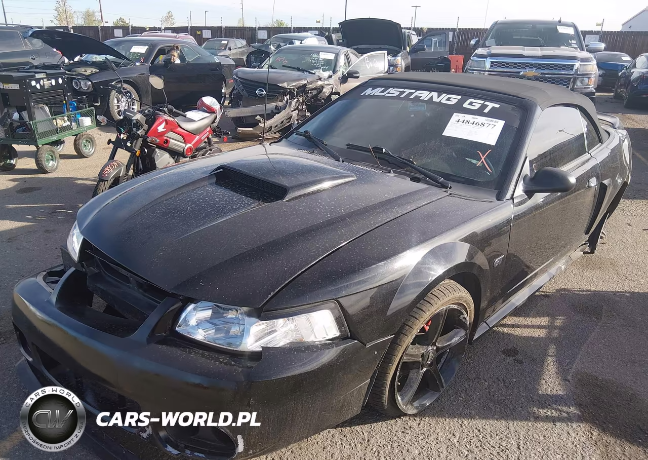 2003 Ford Mustang Gt VIN:1FAFP45X73F318868 - 2