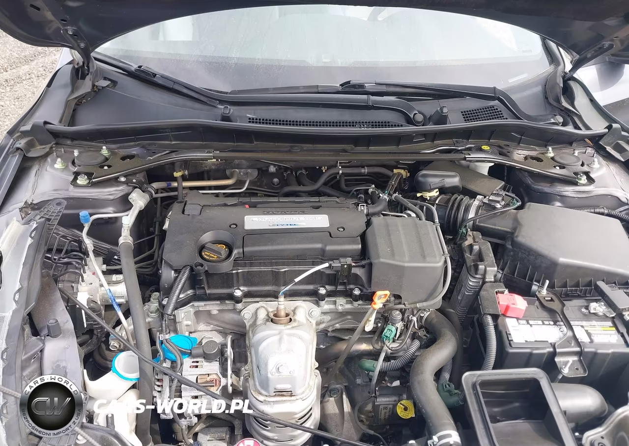 2014 Honda Accord Ex VIN:1HGCR2F70EA102226 - 10