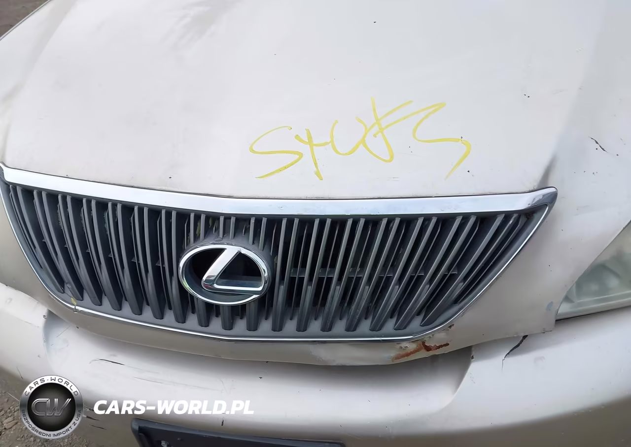 2007 Lexus Rx 350 VIN:2T2HK31U47C002653 - 10