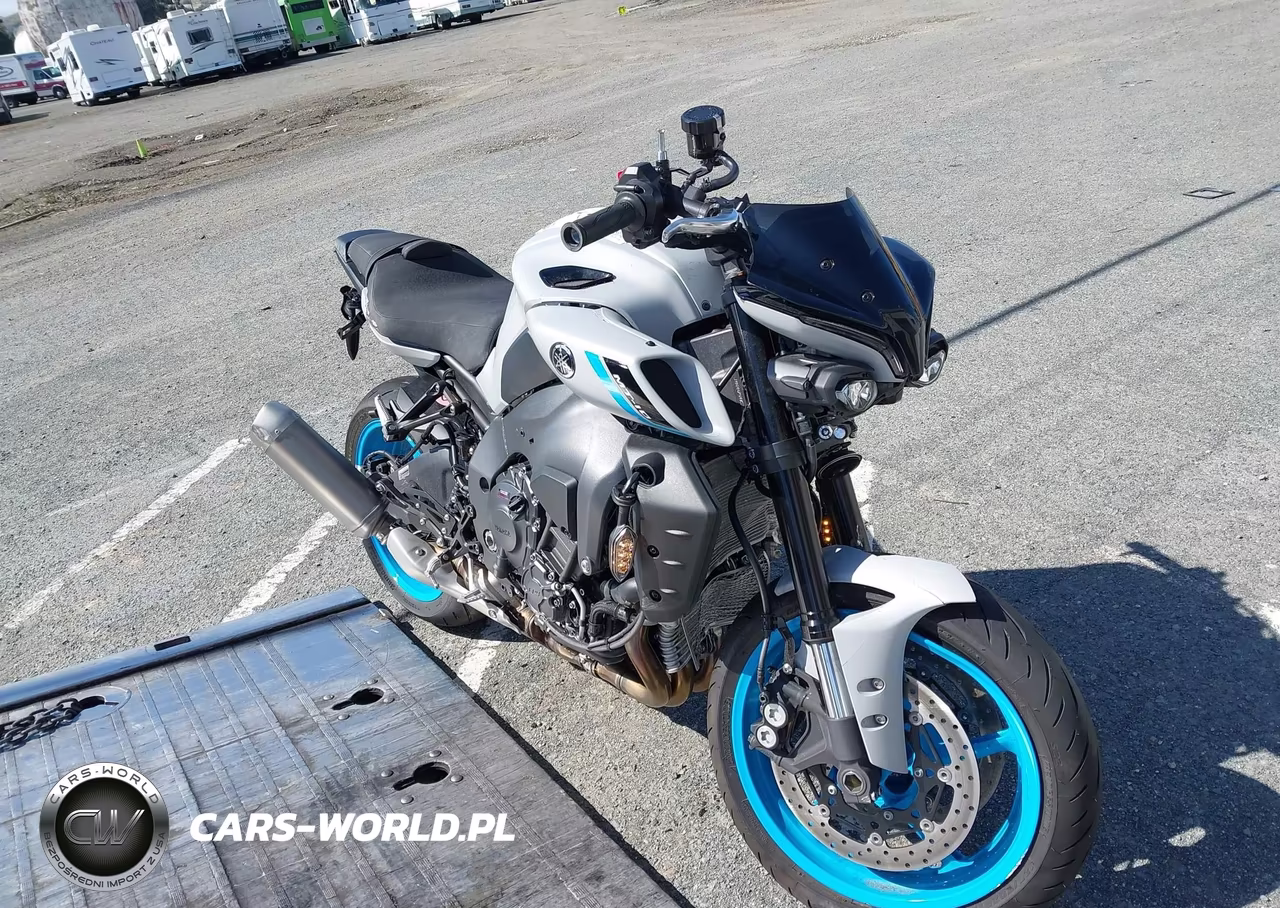 2025 Yamaha Mtn1000 C