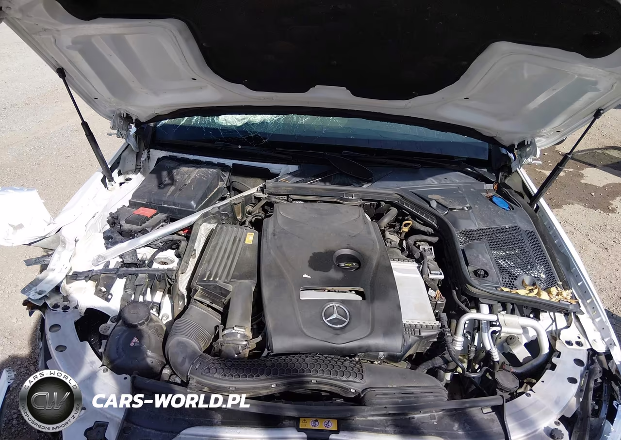 2018 Mercedes-Benz C 300 VIN:WDDWF4JB1JR410163 - 10