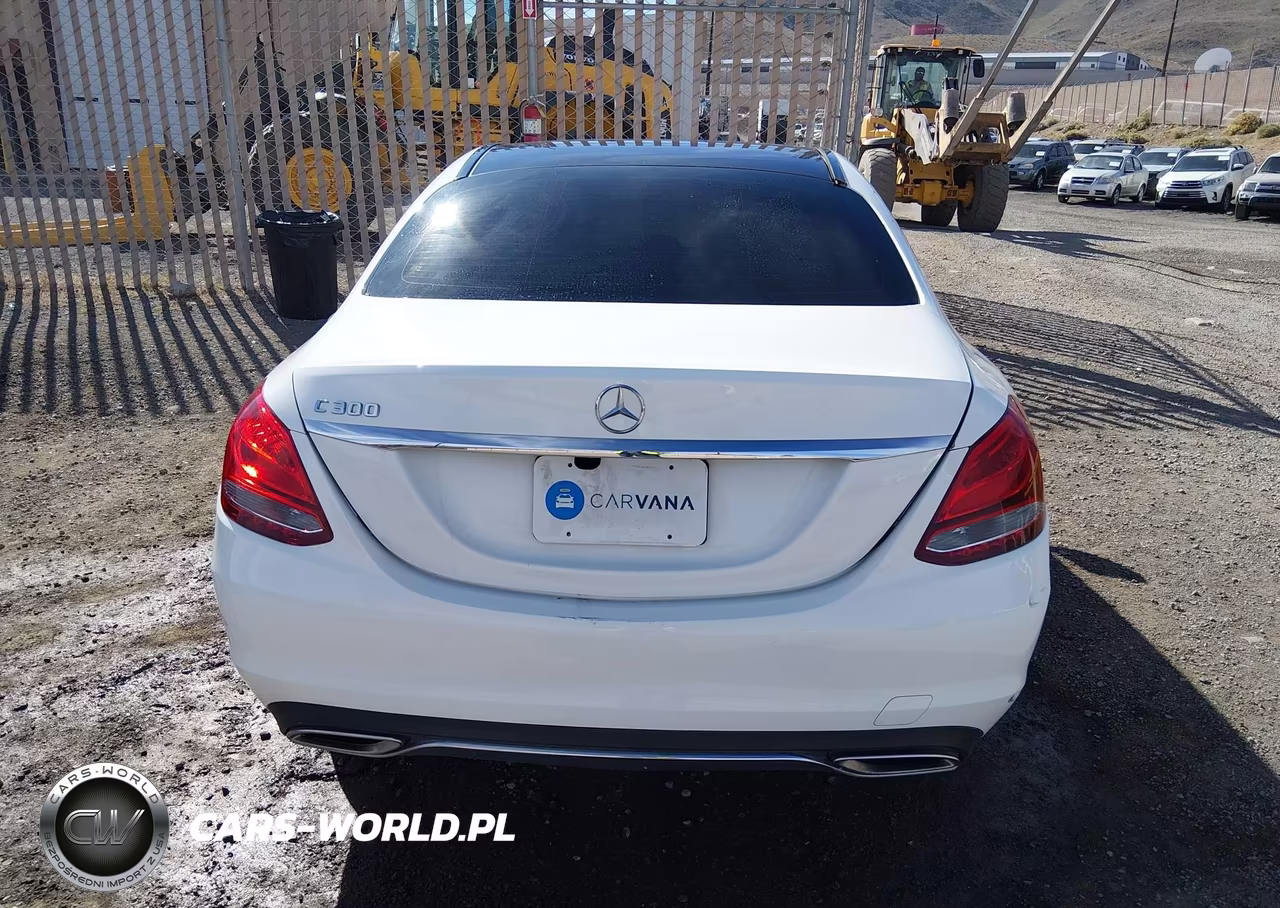 2018 Mercedes-Benz C 300 VIN:WDDWF4JB1JR410163 - 16