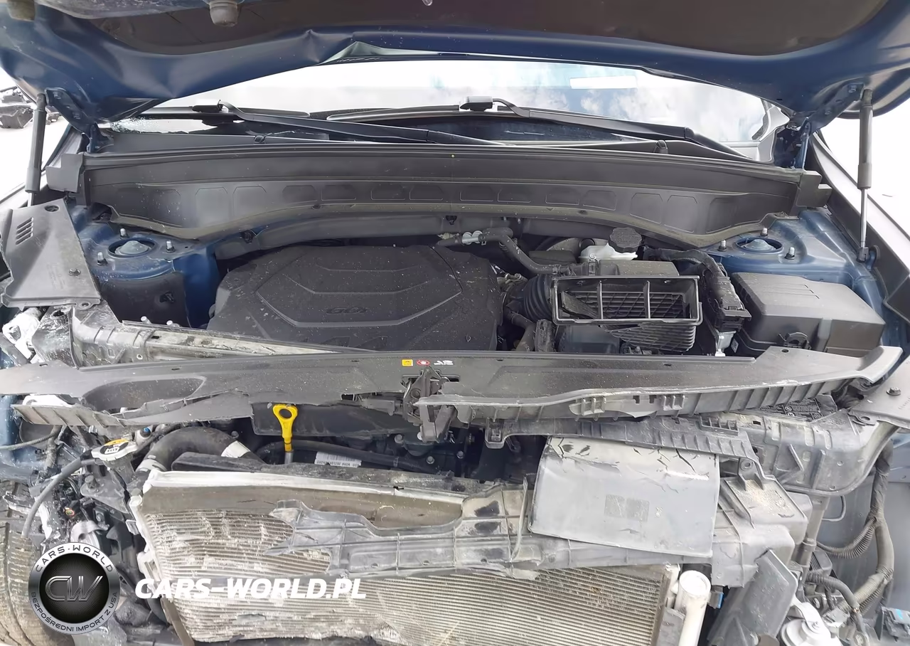 2023 Kia Telluride Sx Prestige X-Pro VIN:5XYP5DGC1PG329494 - 10