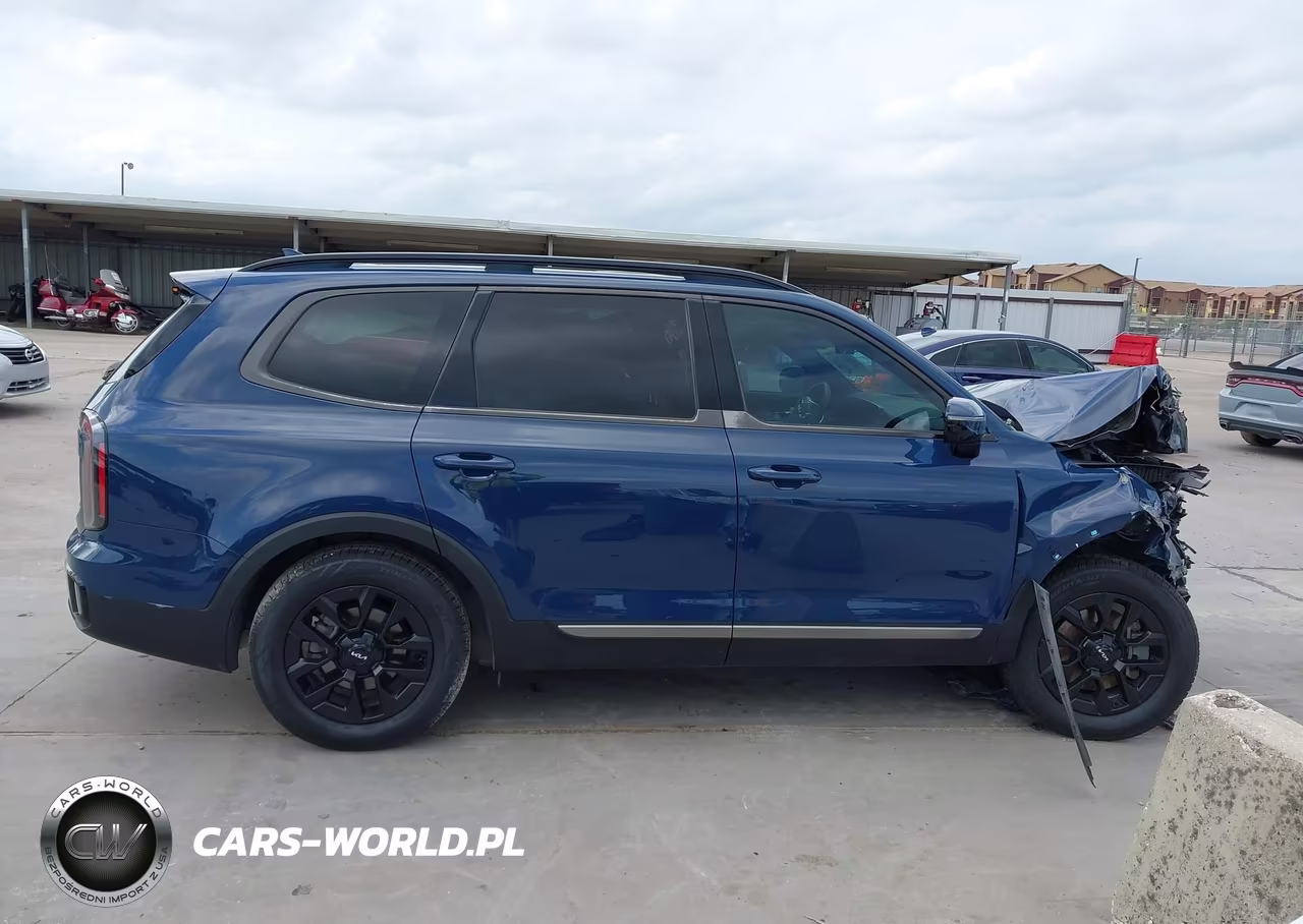 2023 Kia Telluride Sx Prestige X-Pro VIN:5XYP5DGC1PG329494 - 13