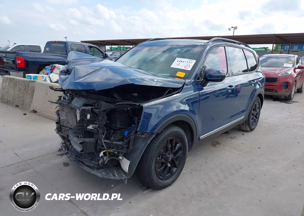 2023 Kia Telluride Sx Prestige X-Pro VIN:5XYP5DGC1PG329494 - 18