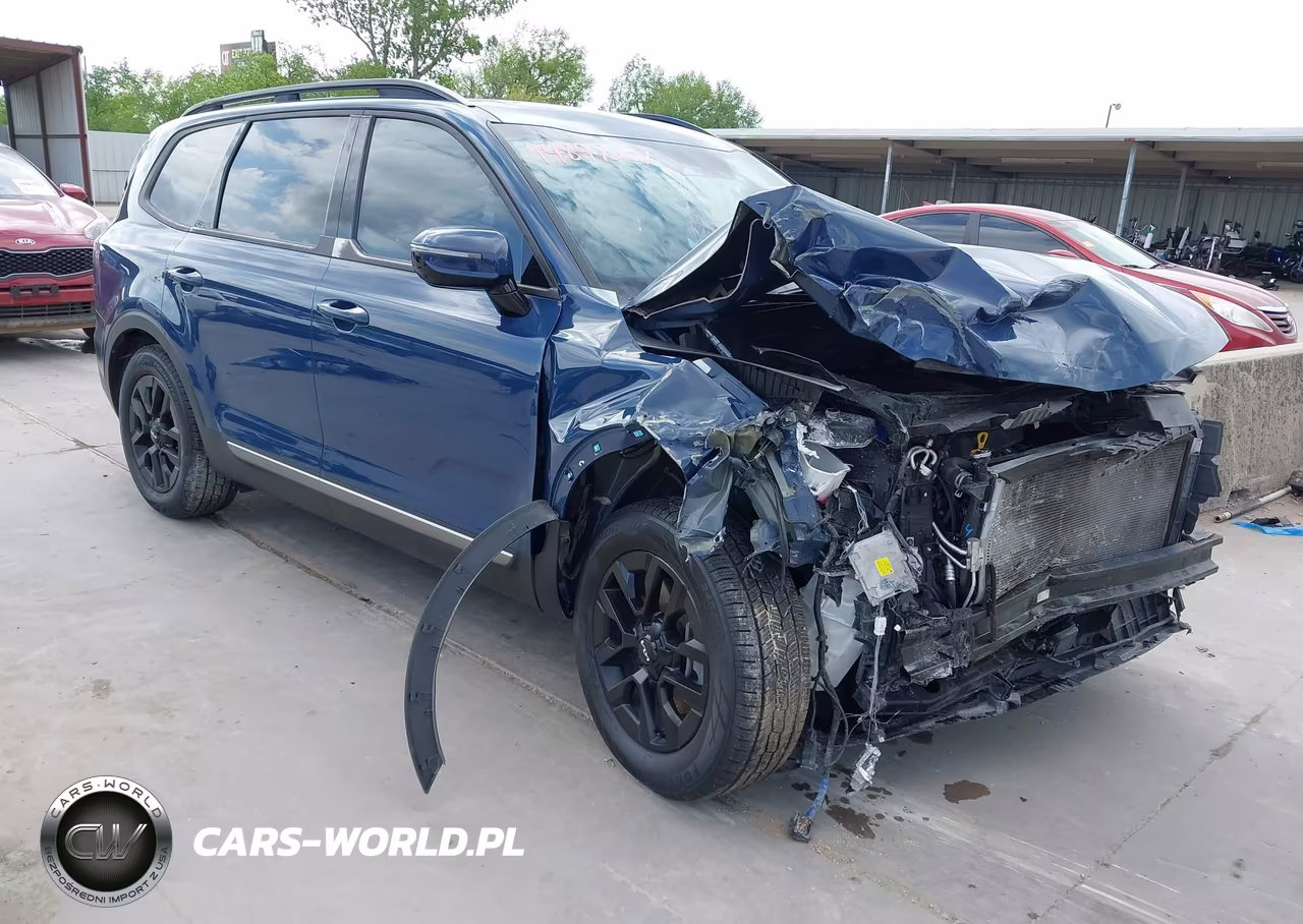 2023 Kia Telluride Sx Prestige X-Pro VIN:5XYP5DGC1PG329494 - 19