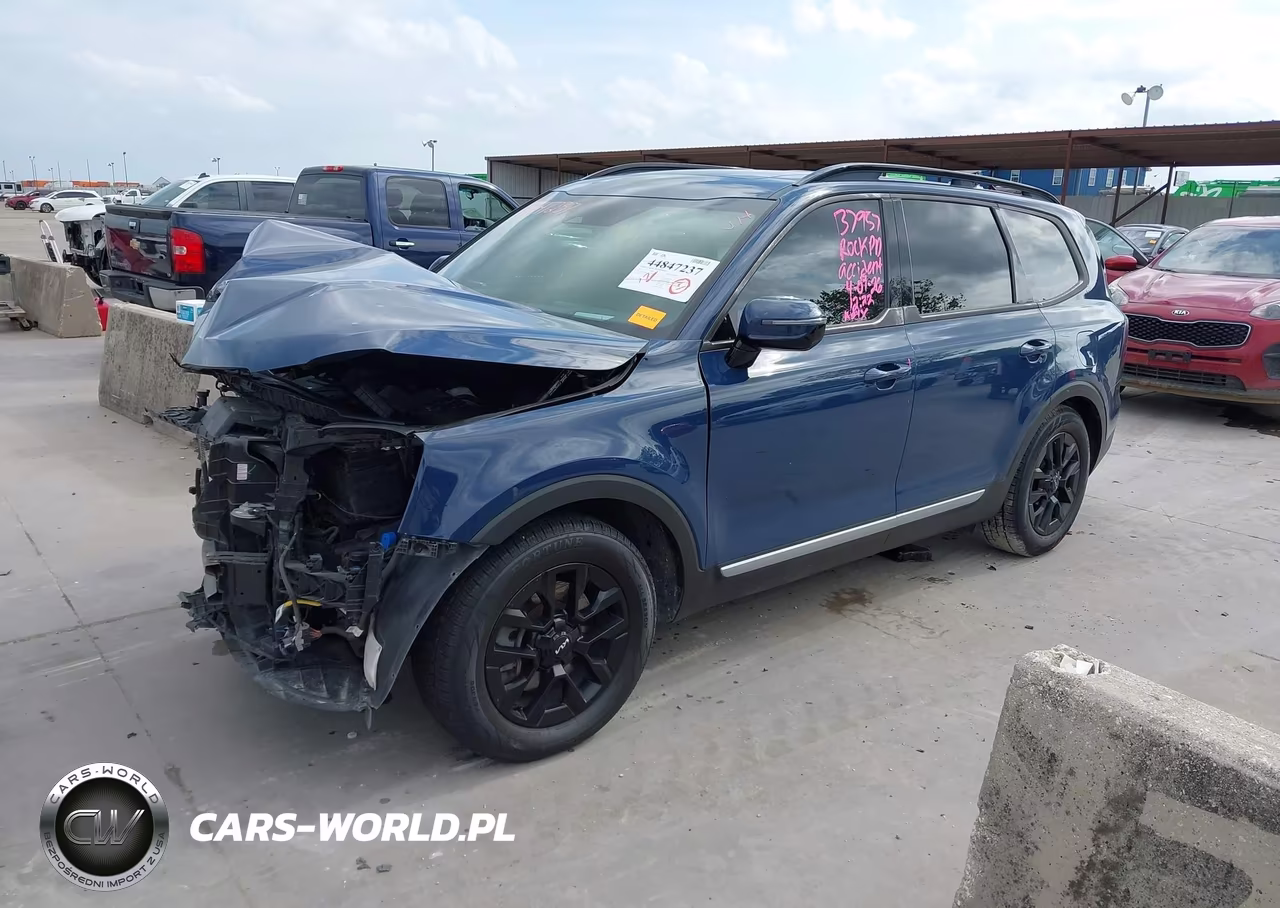 2023 Kia Telluride Sx Prestige X-Pro VIN:5XYP5DGC1PG329494 - 2