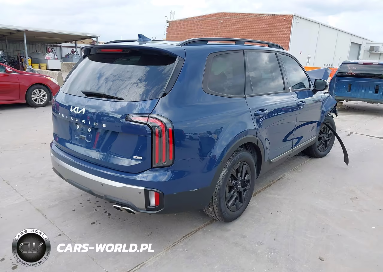 2023 Kia Telluride Sx Prestige X-Pro VIN:5XYP5DGC1PG329494 - 4