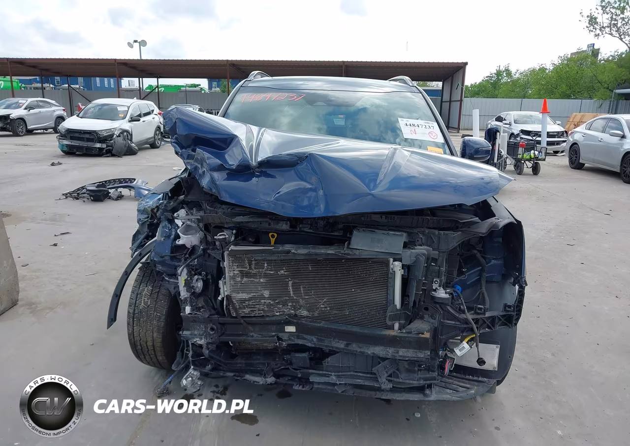 2023 Kia Telluride Sx Prestige X-Pro VIN:5XYP5DGC1PG329494 - 6