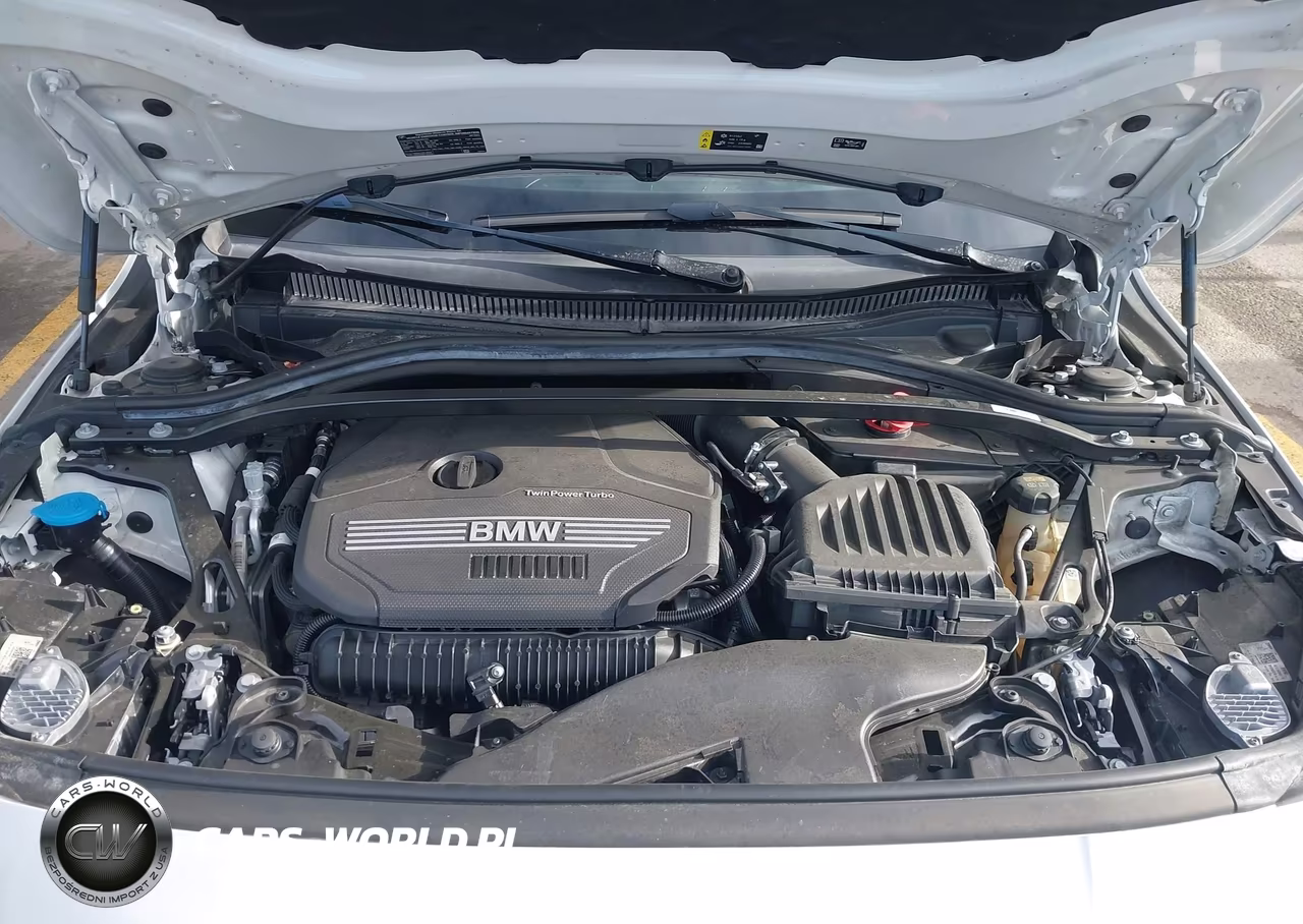 2021 BMW 228I Gran Coupe Sdrive VIN:WBA53AK05M7H31858 - 10