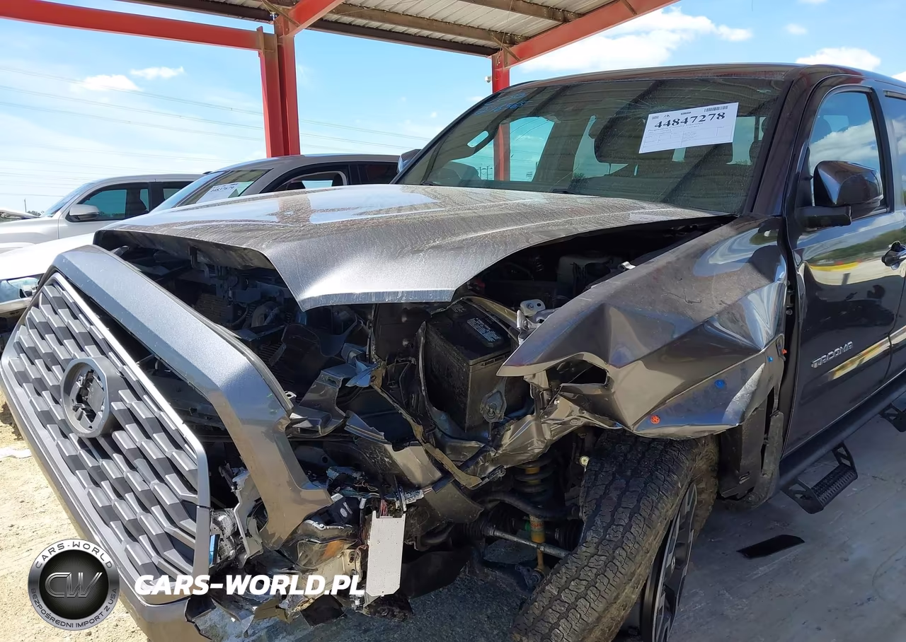 2023 Toyota Tacoma Trd Off Road VIN:3TYCZ5AN0PT139406 - 6