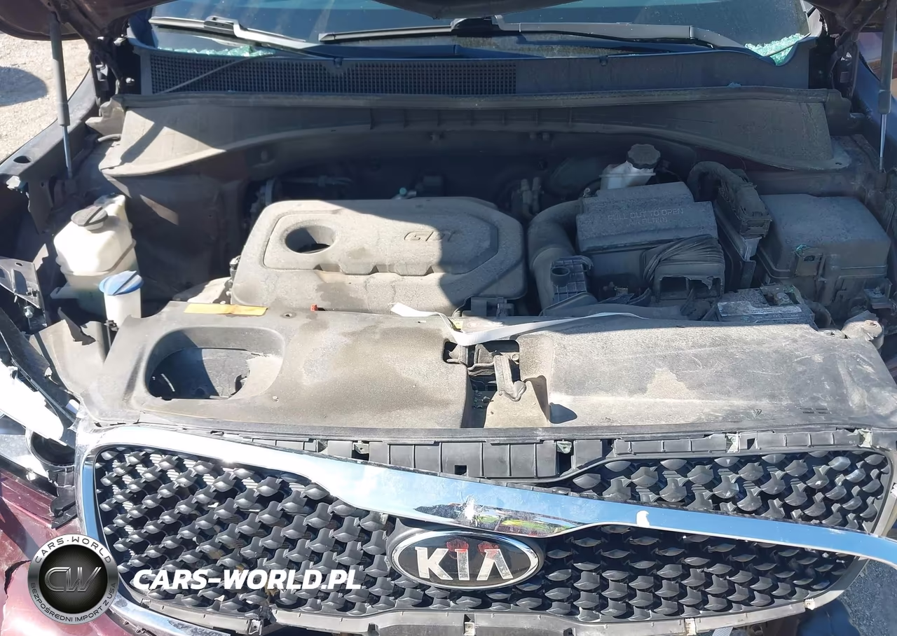 2017 Kia Sorento 2.4L Lx VIN:5XYPGDA36HG247913 - 10