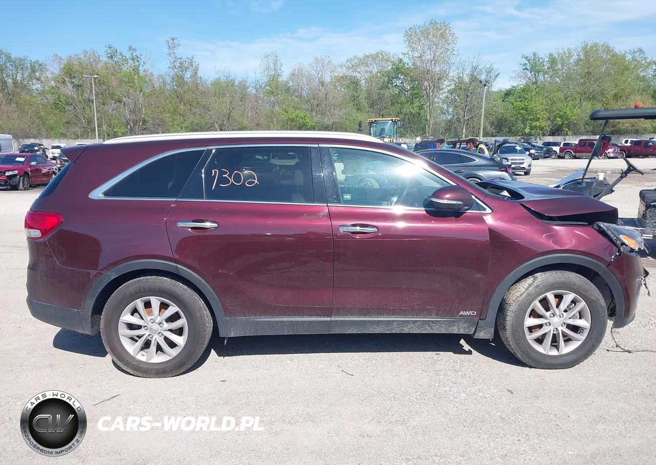 2017 Kia Sorento 2.4L Lx VIN:5XYPGDA36HG247913 - 13