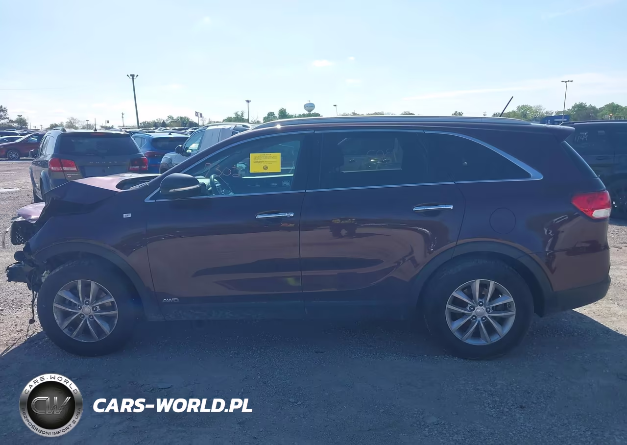 2017 Kia Sorento 2.4L Lx VIN:5XYPGDA36HG247913 - 14