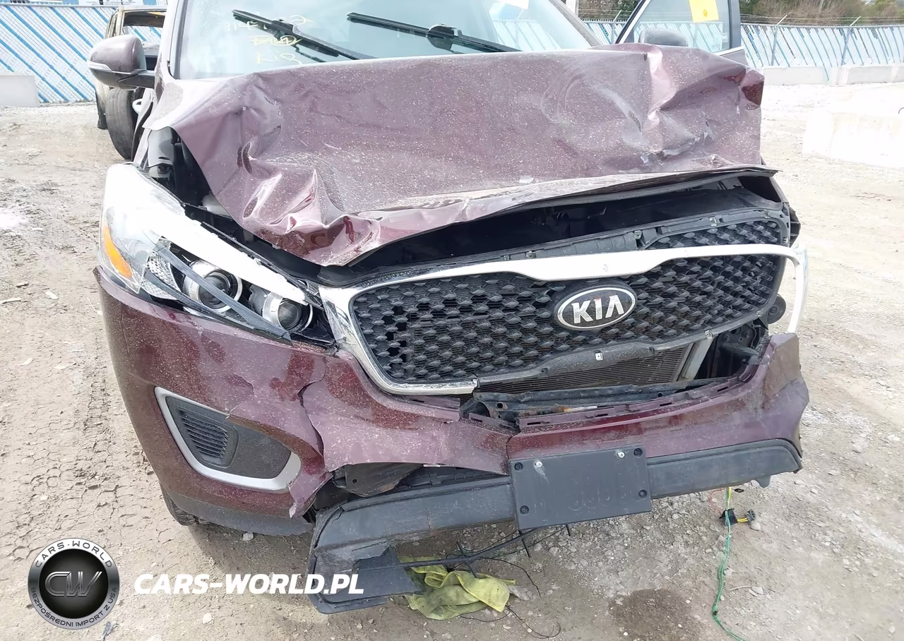 2017 Kia Sorento 2.4L Lx VIN:5XYPGDA36HG247913 - 17
