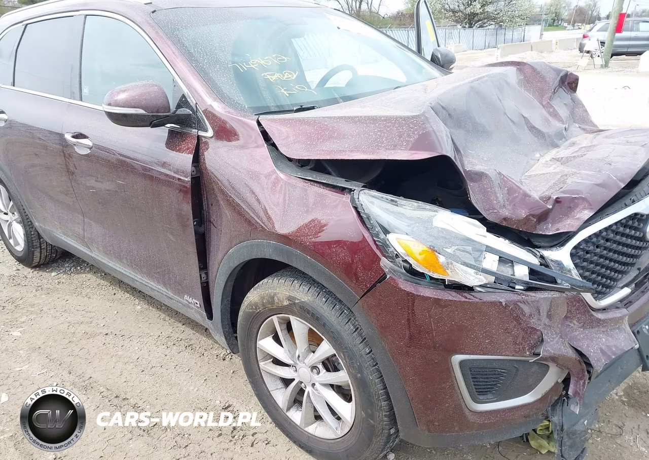 2017 Kia Sorento 2.4L Lx VIN:5XYPGDA36HG247913 - 18