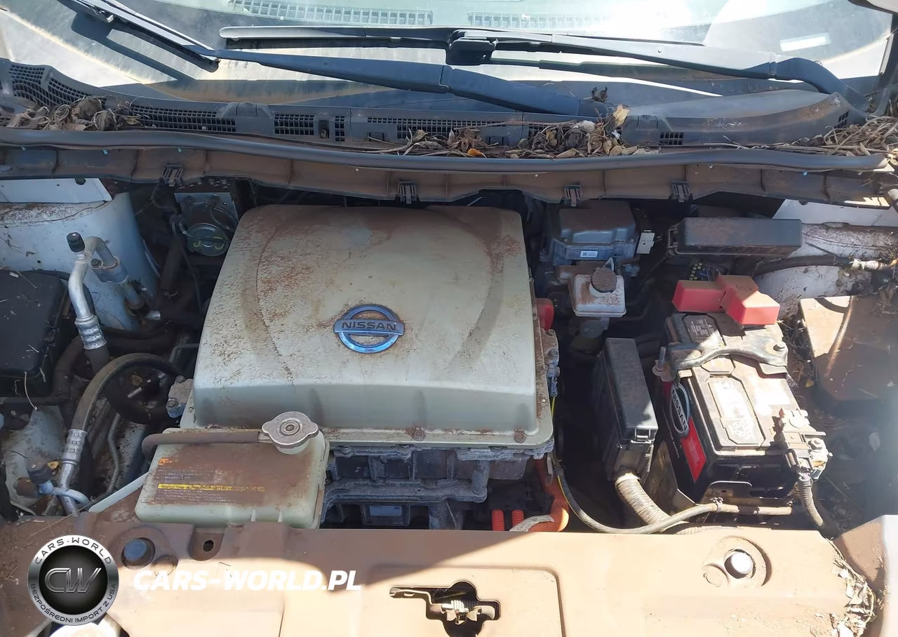2016 Nissan Leaf S VIN:1N4AZ0CP5GC302451 - 10