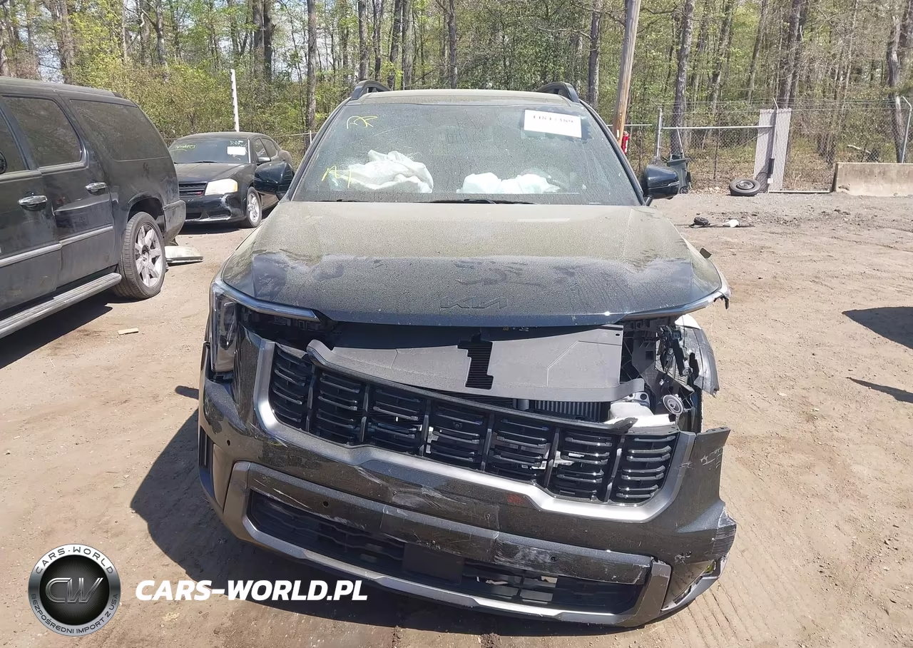 2025 Kia Sorento X-Line Sx Prestige VIN:5XYRKDJF2SG393427 - 13