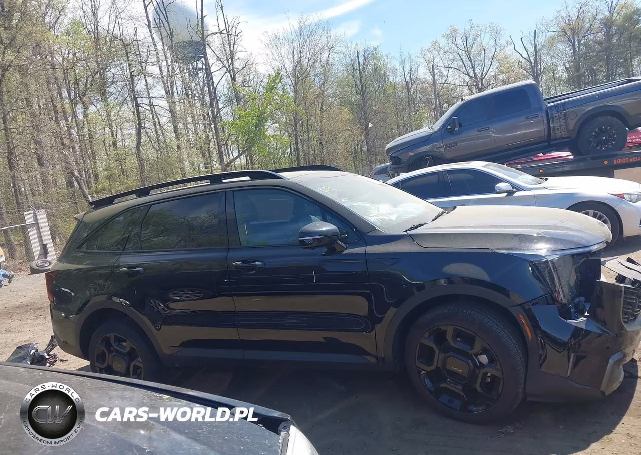 2025 Kia Sorento X-Line Sx Prestige VIN:5XYRKDJF2SG393427 - 14