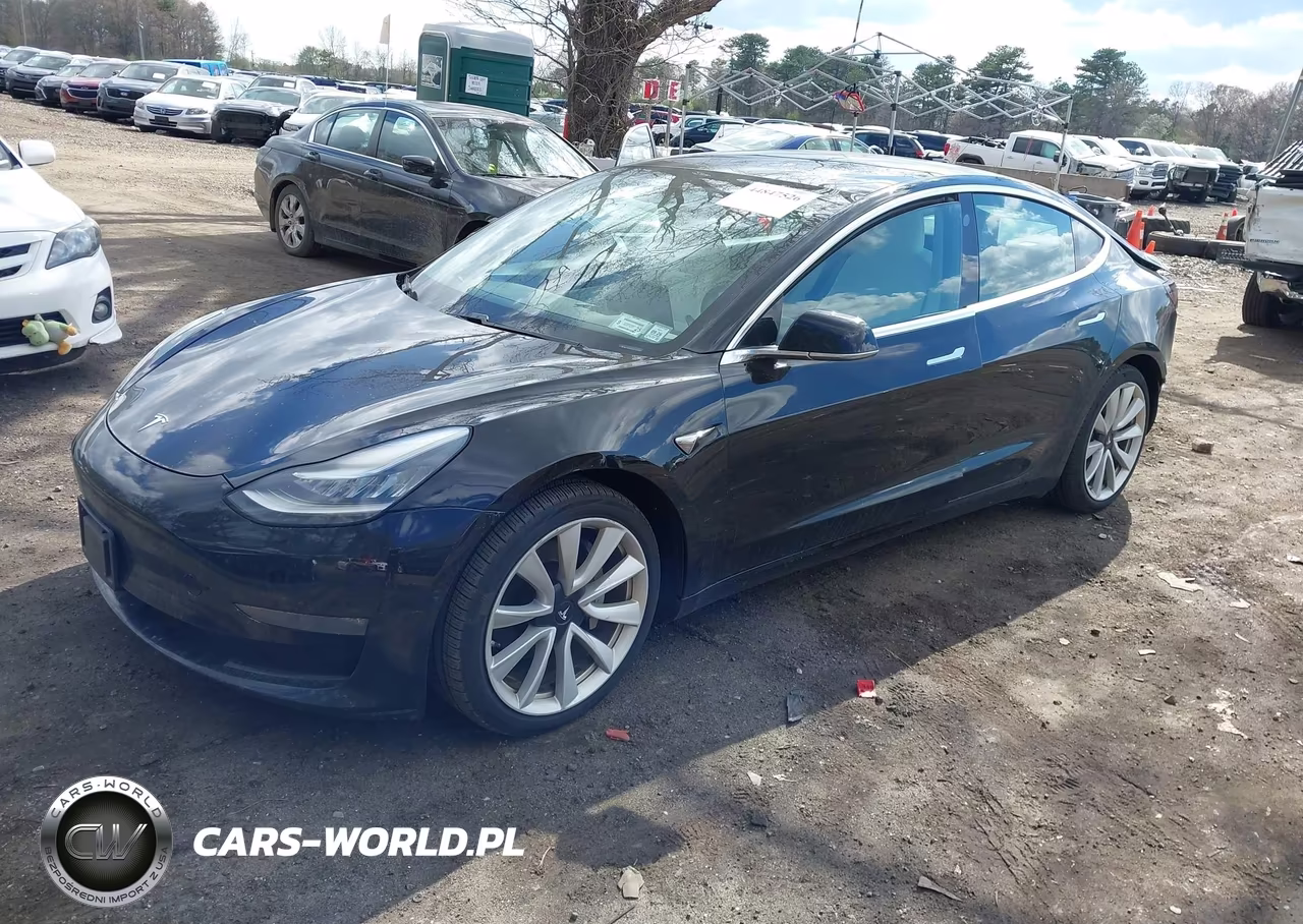 2020 Tesla Model 3 Long Range Dual Motor All-Wheel Drive VIN:5YJ3E1EB6LF668583 - 2