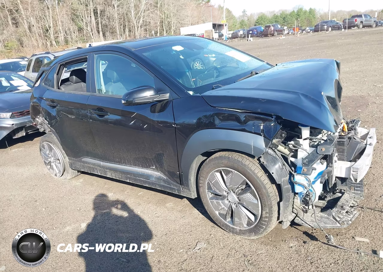 2019 Hyundai Kona Ev Ultimate