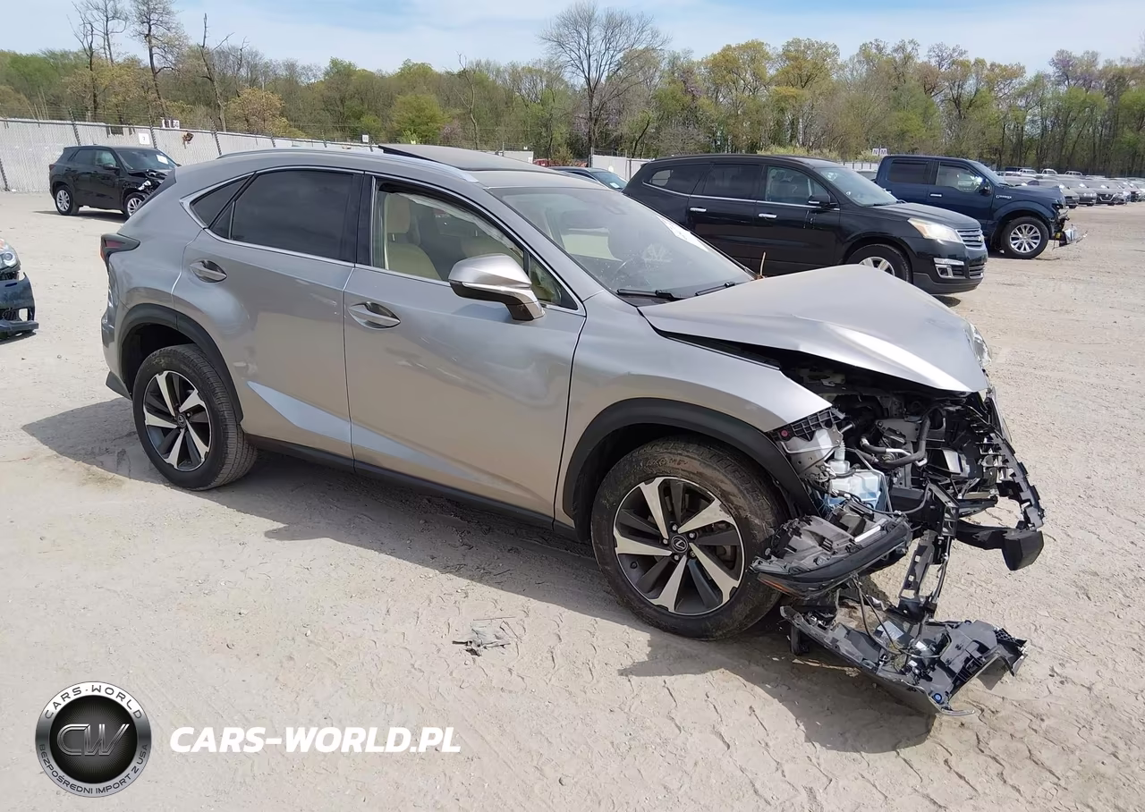 2020 Lexus Nx 300 Luxury