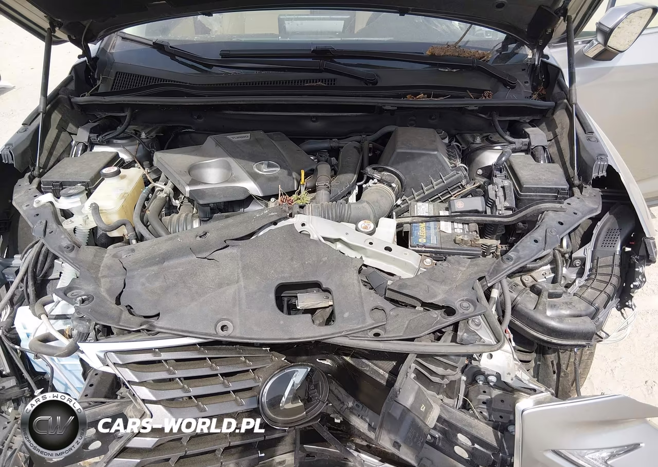 2020 Lexus Nx 300 Luxury VIN:JTJHARDZ2L2218721 - 10