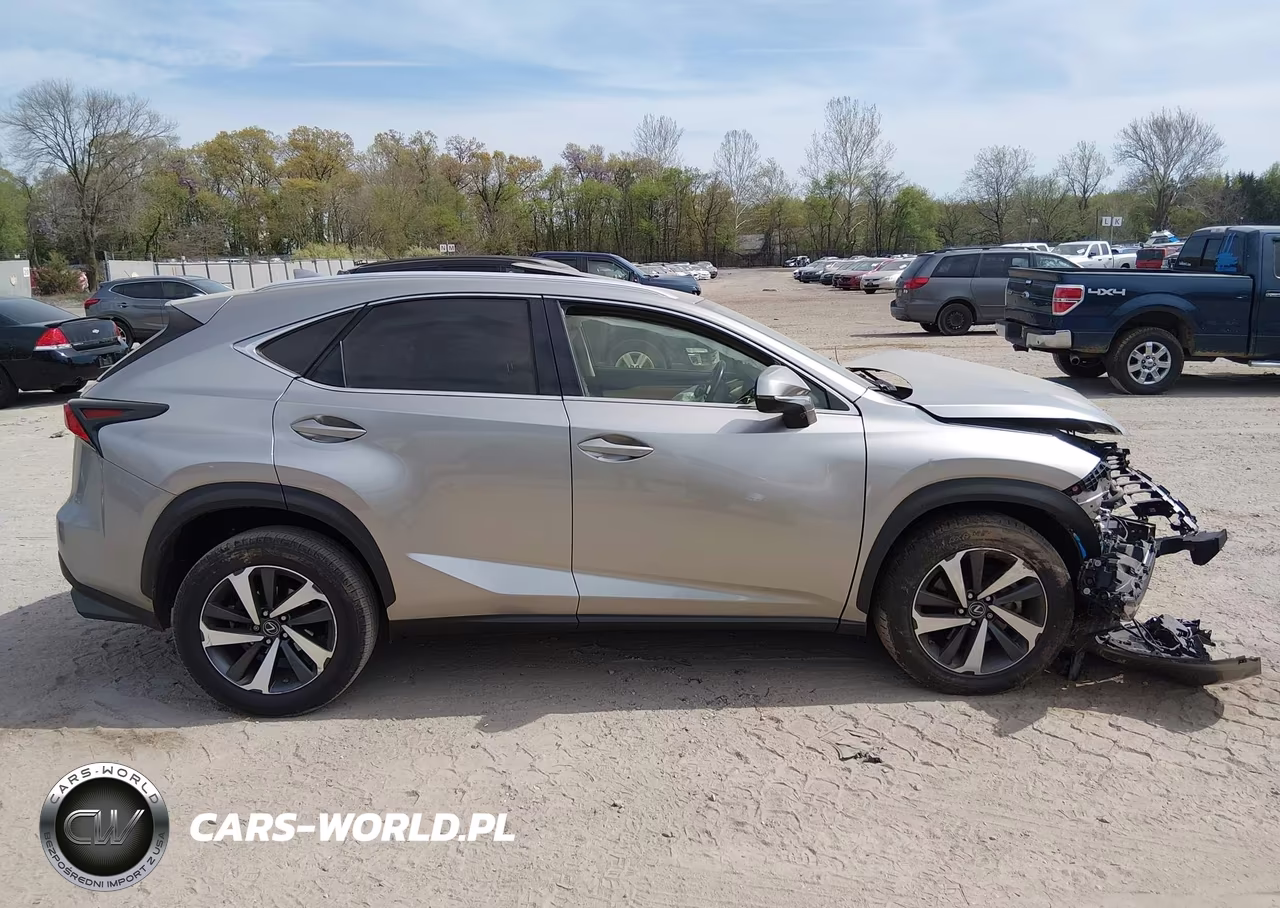 2020 Lexus Nx 300 Luxury VIN:JTJHARDZ2L2218721 - 13