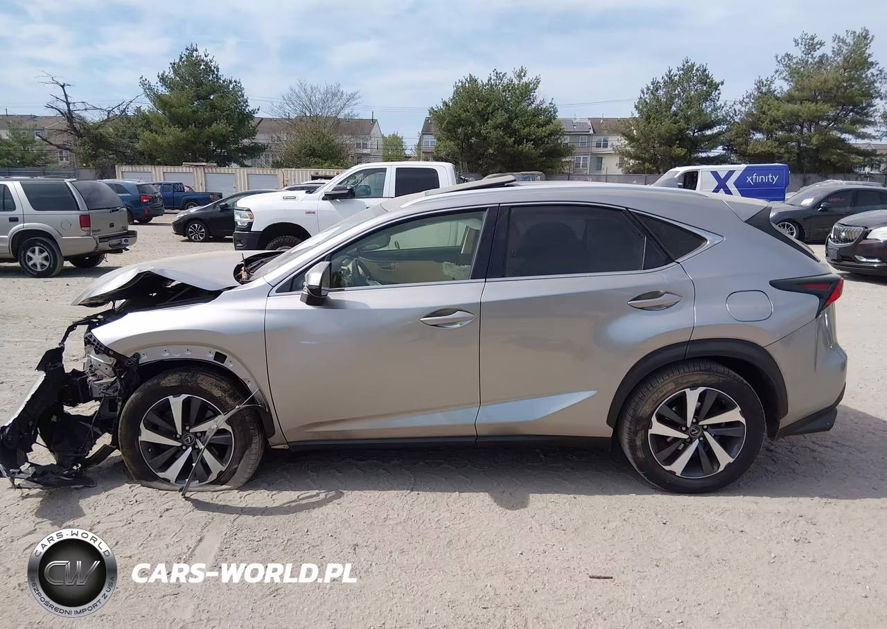 2020 Lexus Nx 300 Luxury VIN:JTJHARDZ2L2218721 - 14