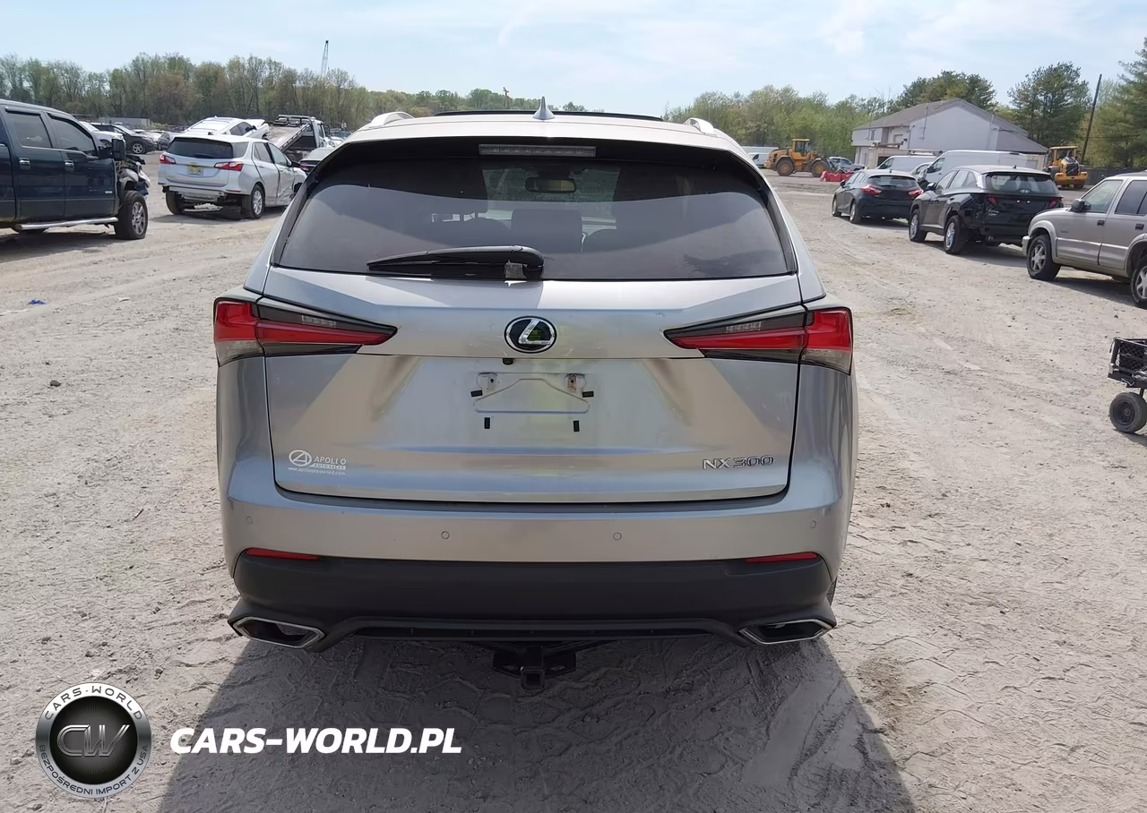 2020 Lexus Nx 300 Luxury VIN:JTJHARDZ2L2218721 - 16