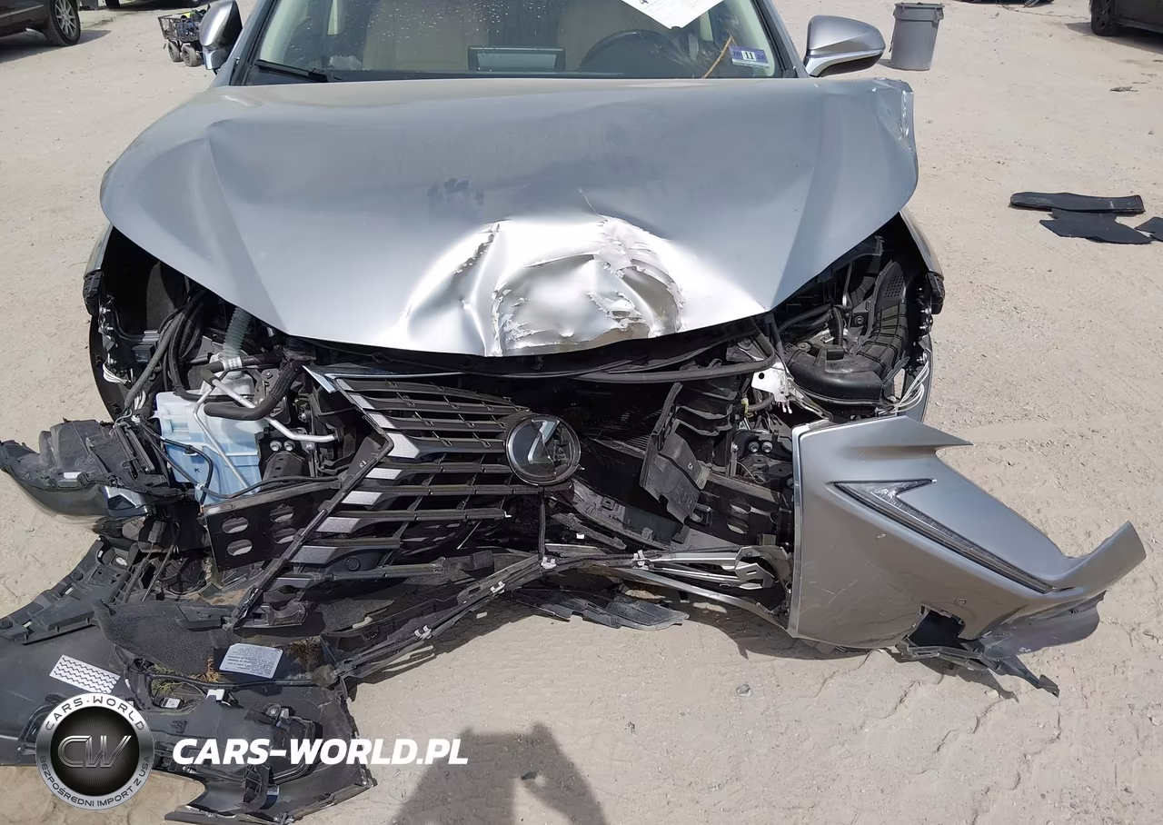 2020 Lexus Nx 300 Luxury VIN:JTJHARDZ2L2218721 - 17