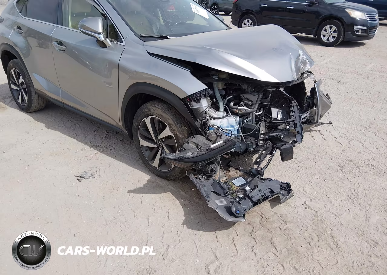2020 Lexus Nx 300 Luxury VIN:JTJHARDZ2L2218721 - 18
