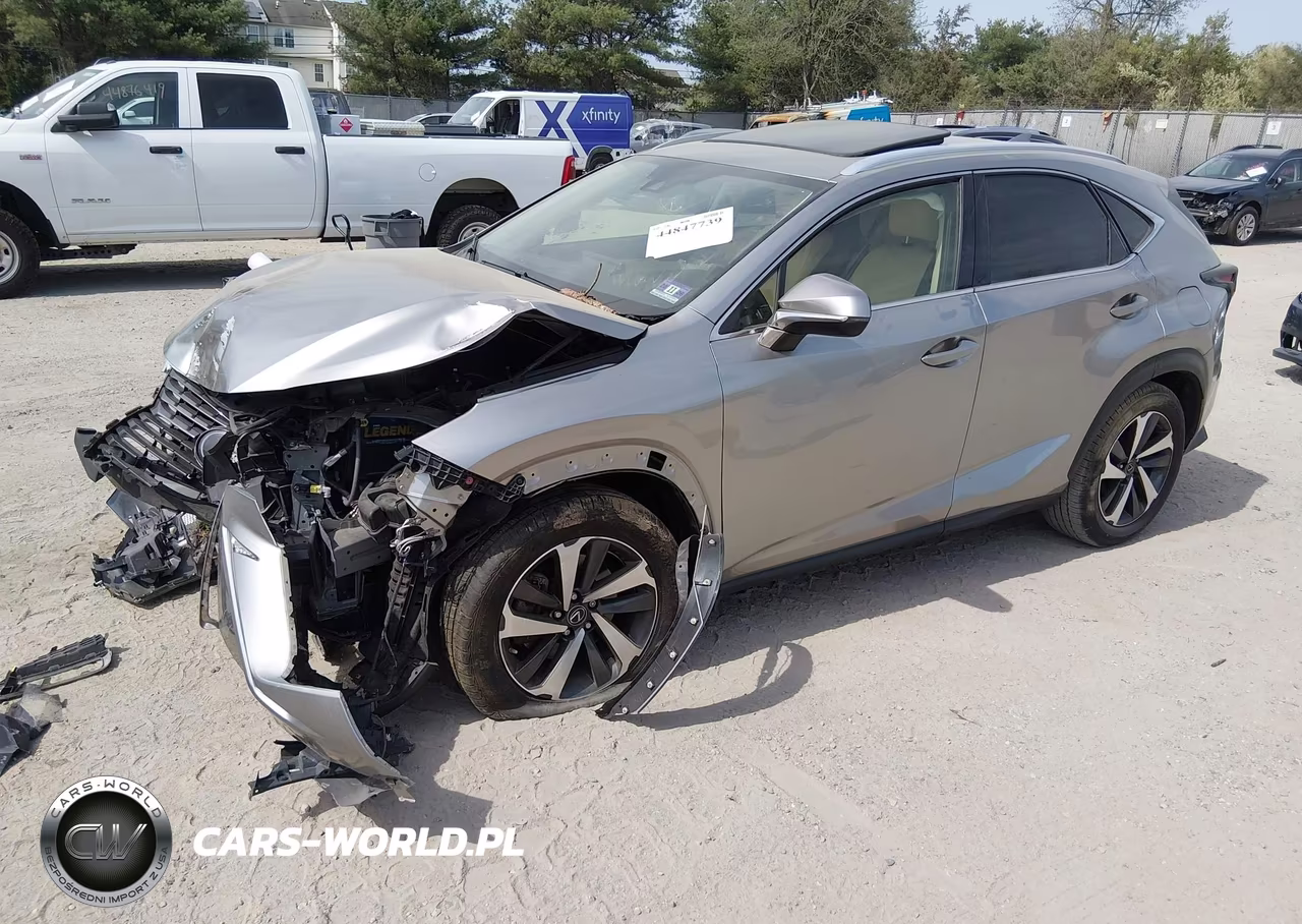 2020 Lexus Nx 300 Luxury VIN:JTJHARDZ2L2218721 - 2