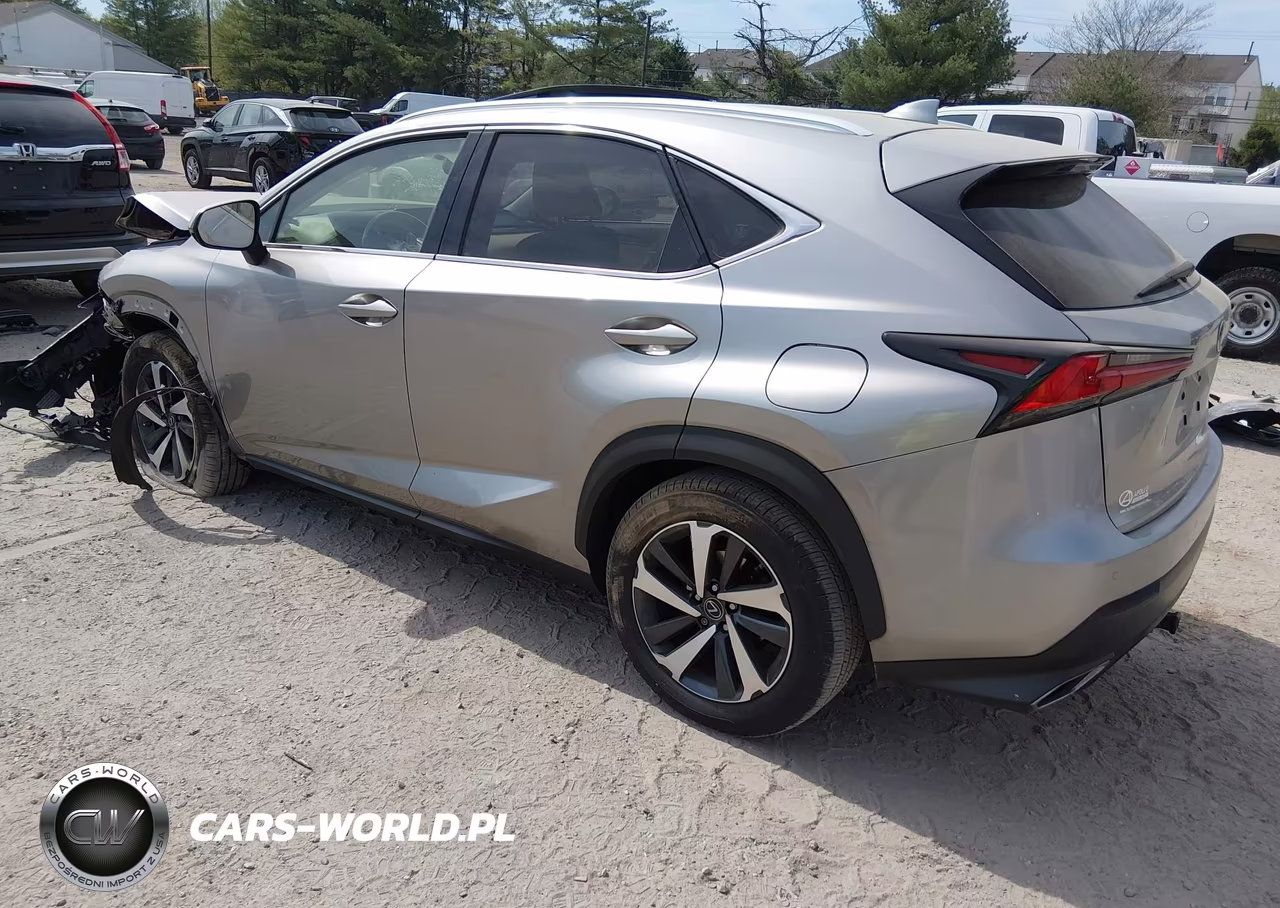 2020 Lexus Nx 300 Luxury VIN:JTJHARDZ2L2218721 - 3