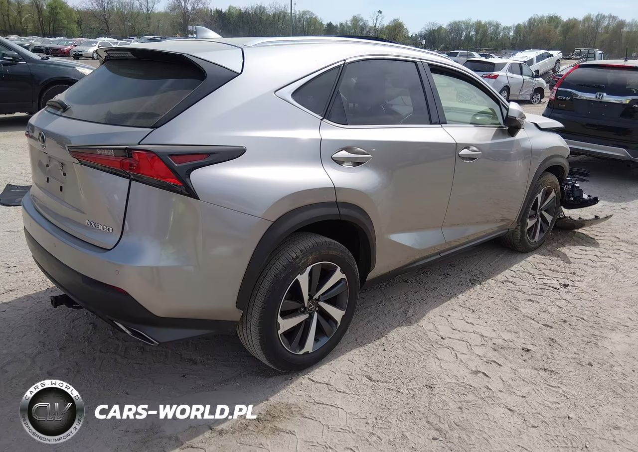 2020 Lexus Nx 300 Luxury VIN:JTJHARDZ2L2218721 - 4