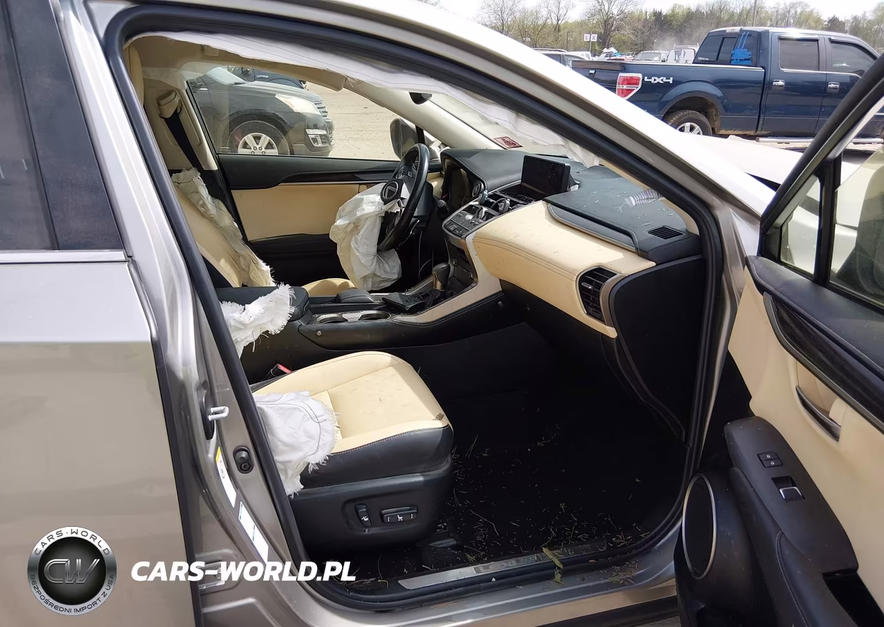 2020 Lexus Nx 300 Luxury VIN:JTJHARDZ2L2218721 - 5