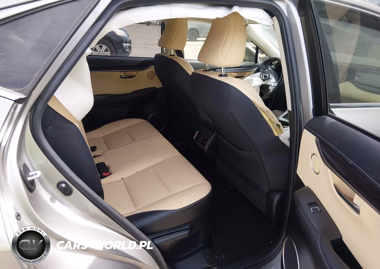 2020 Lexus Nx 300 Luxury VIN:JTJHARDZ2L2218721 - 8