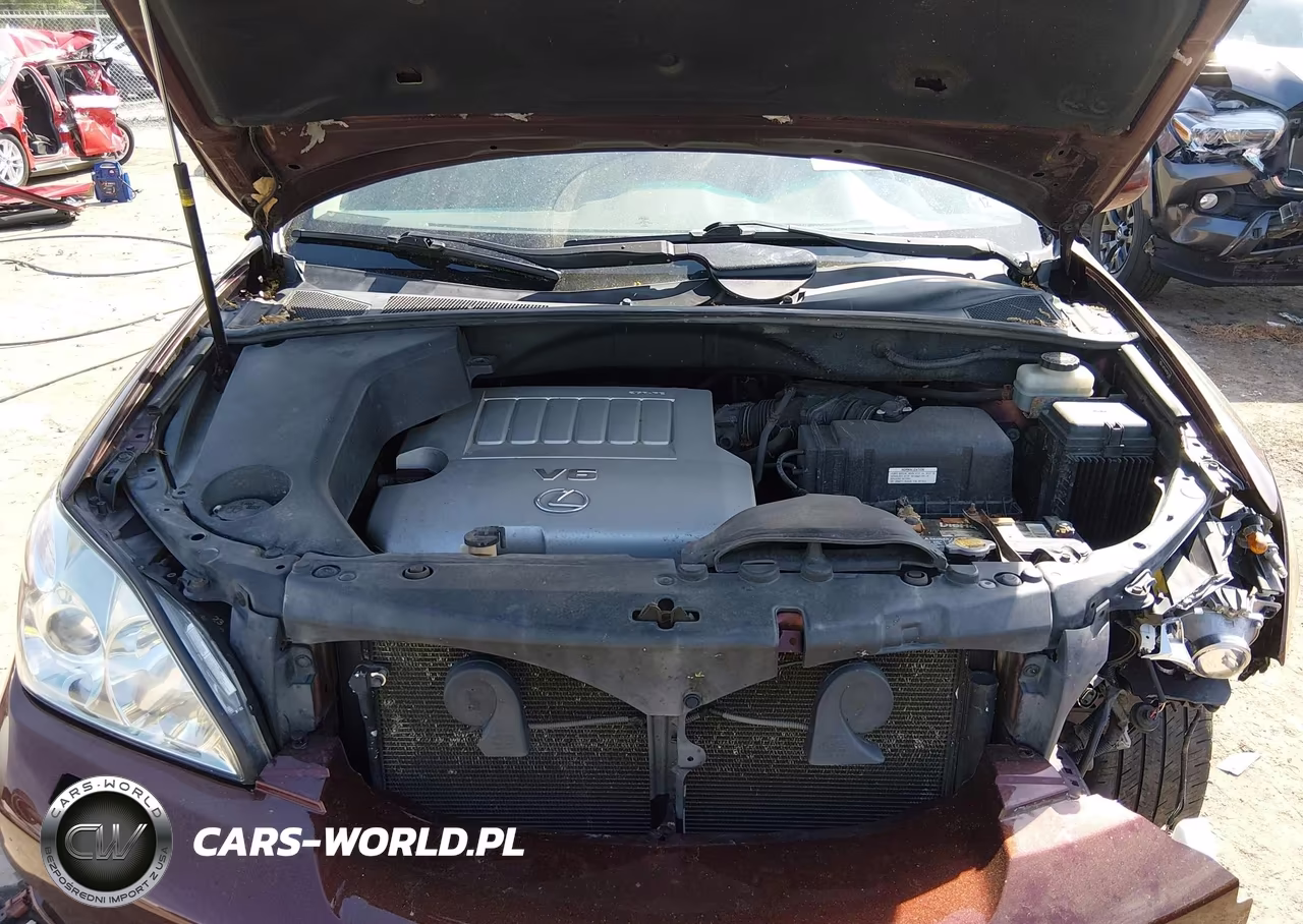 2009 Lexus Rx 350 VIN:JTJHK31U692061268 - 10