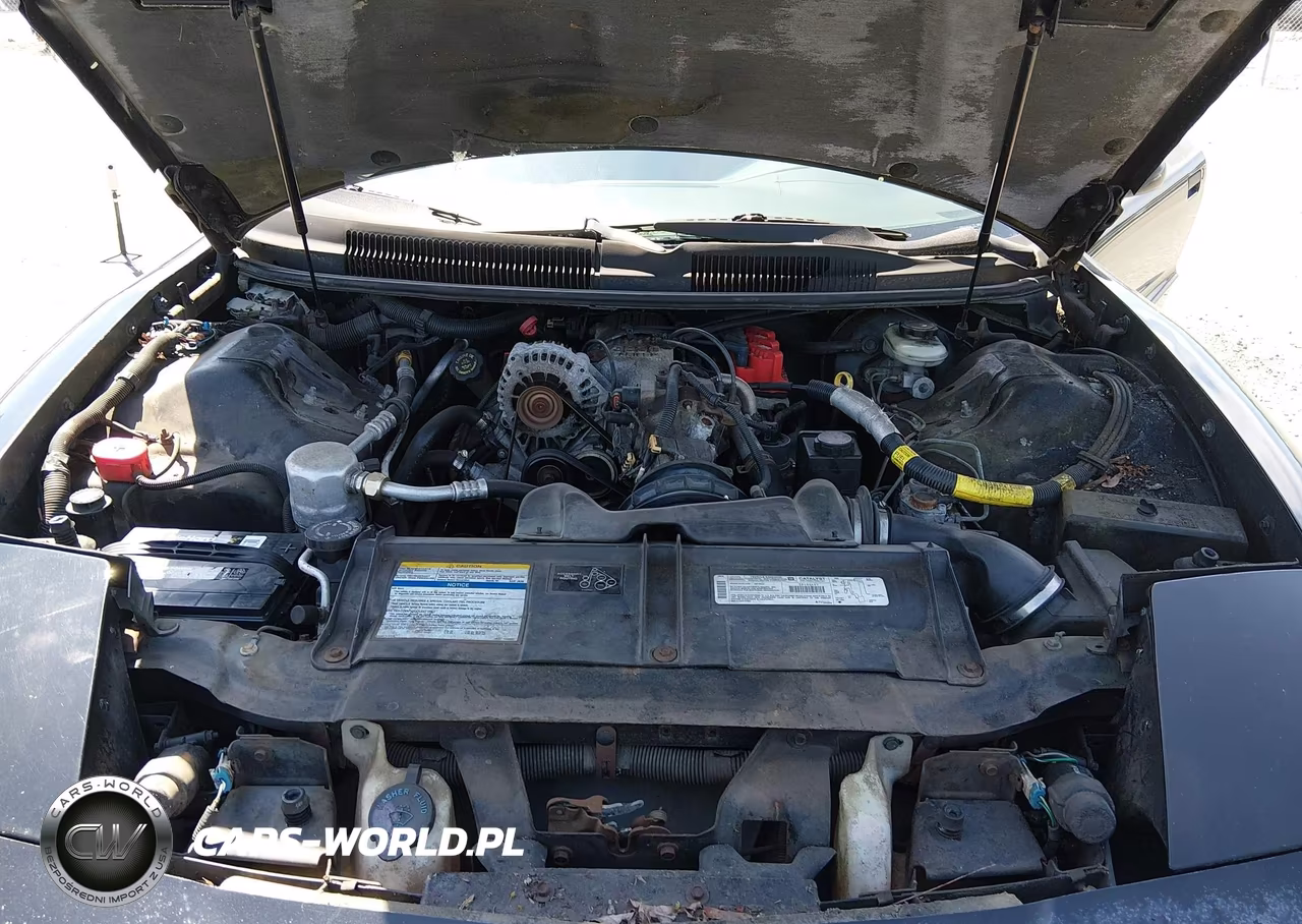 1997 Pontiac Firebird VIN:2G2FS32K8V2214894 - 10