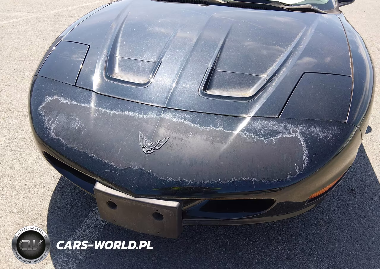 1997 Pontiac Firebird VIN:2G2FS32K8V2214894 - 6