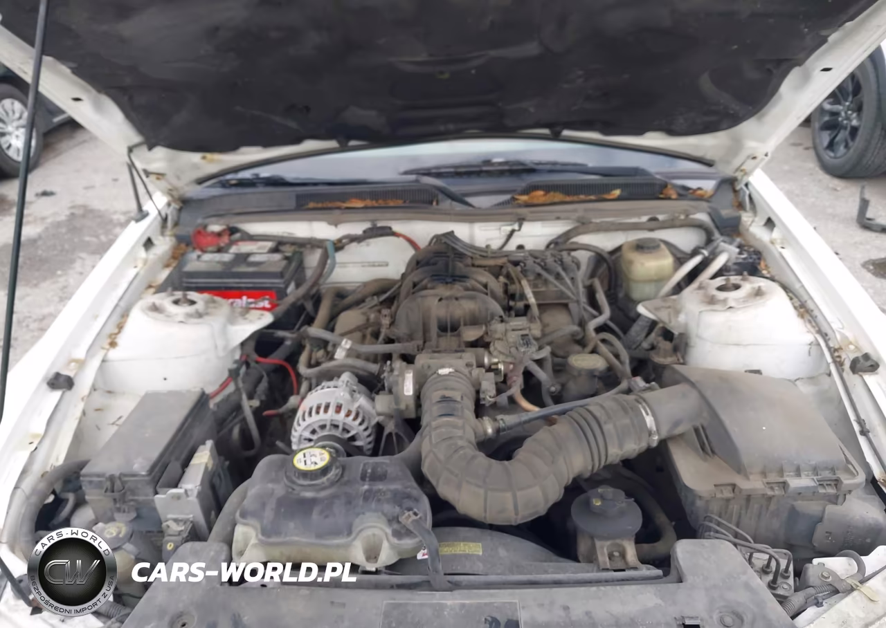 2006 Ford Mustang V6 VIN:1ZVFT80N365152486 - 10