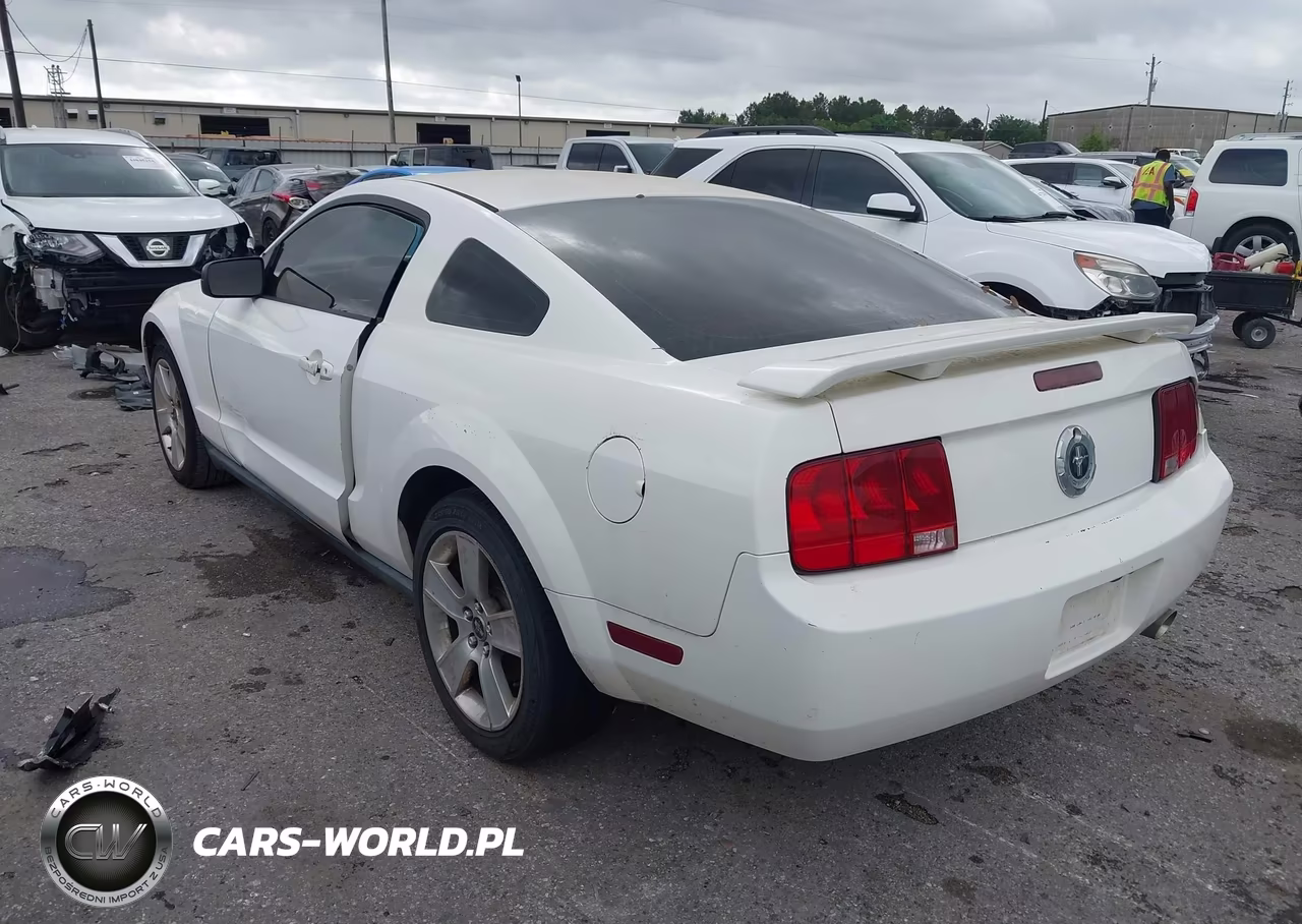 2006 Ford Mustang V6 VIN:1ZVFT80N365152486 - 3