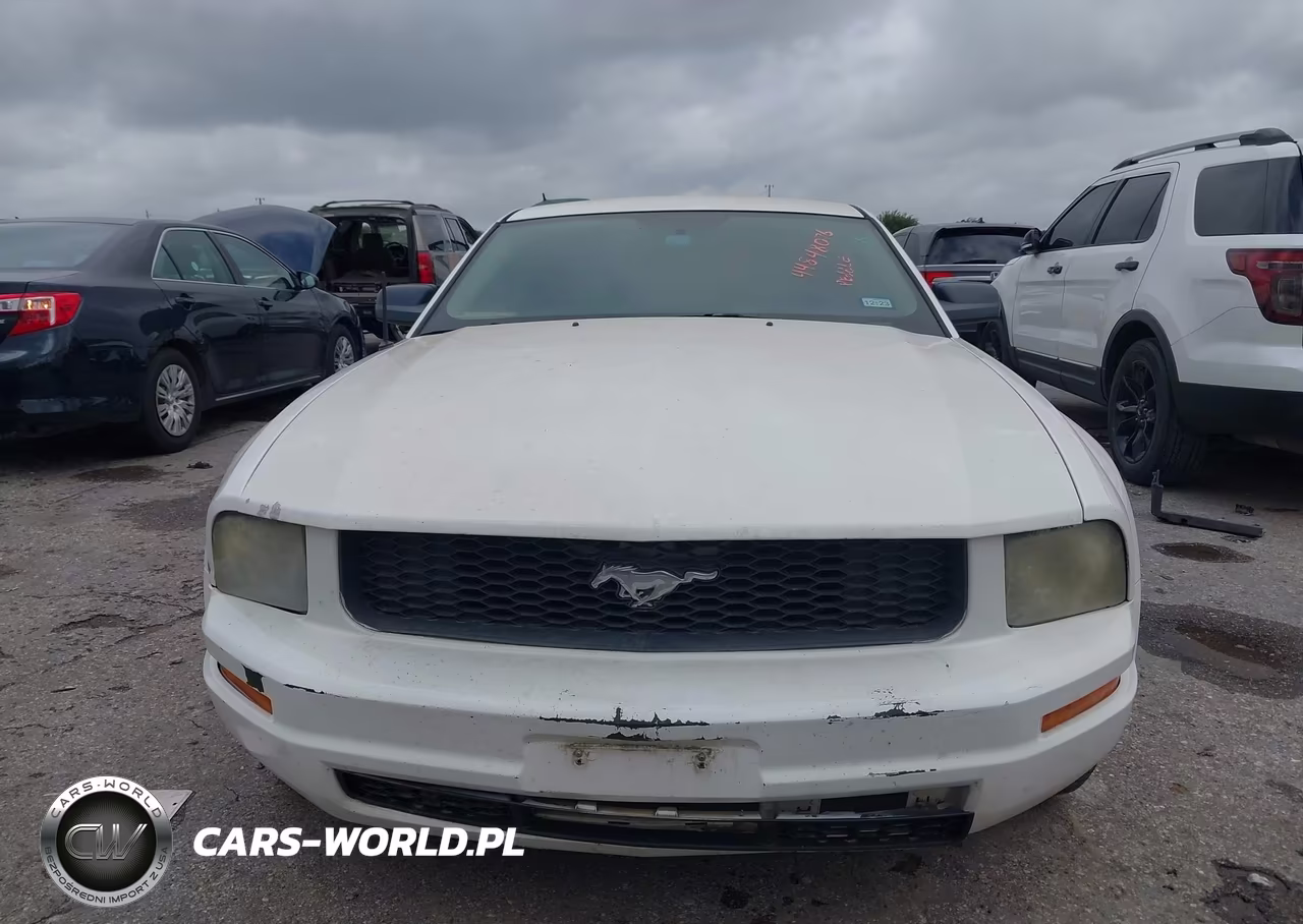 2006 Ford Mustang V6 VIN:1ZVFT80N365152486 - 6