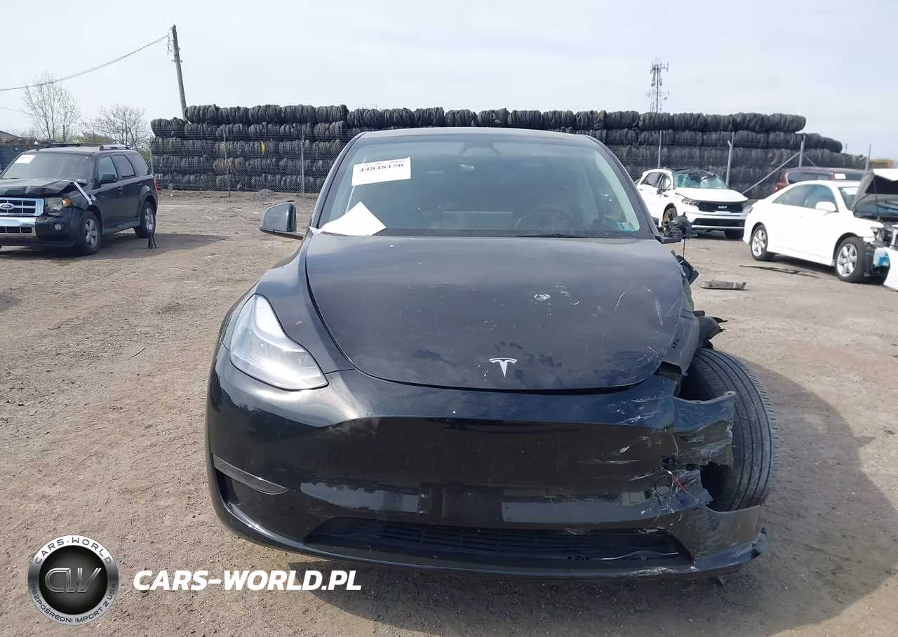 2025 Tesla Model Y Long Range Dual Motor All-Wheel Drive VIN:7SAYGDEE6SA360372 - 11
