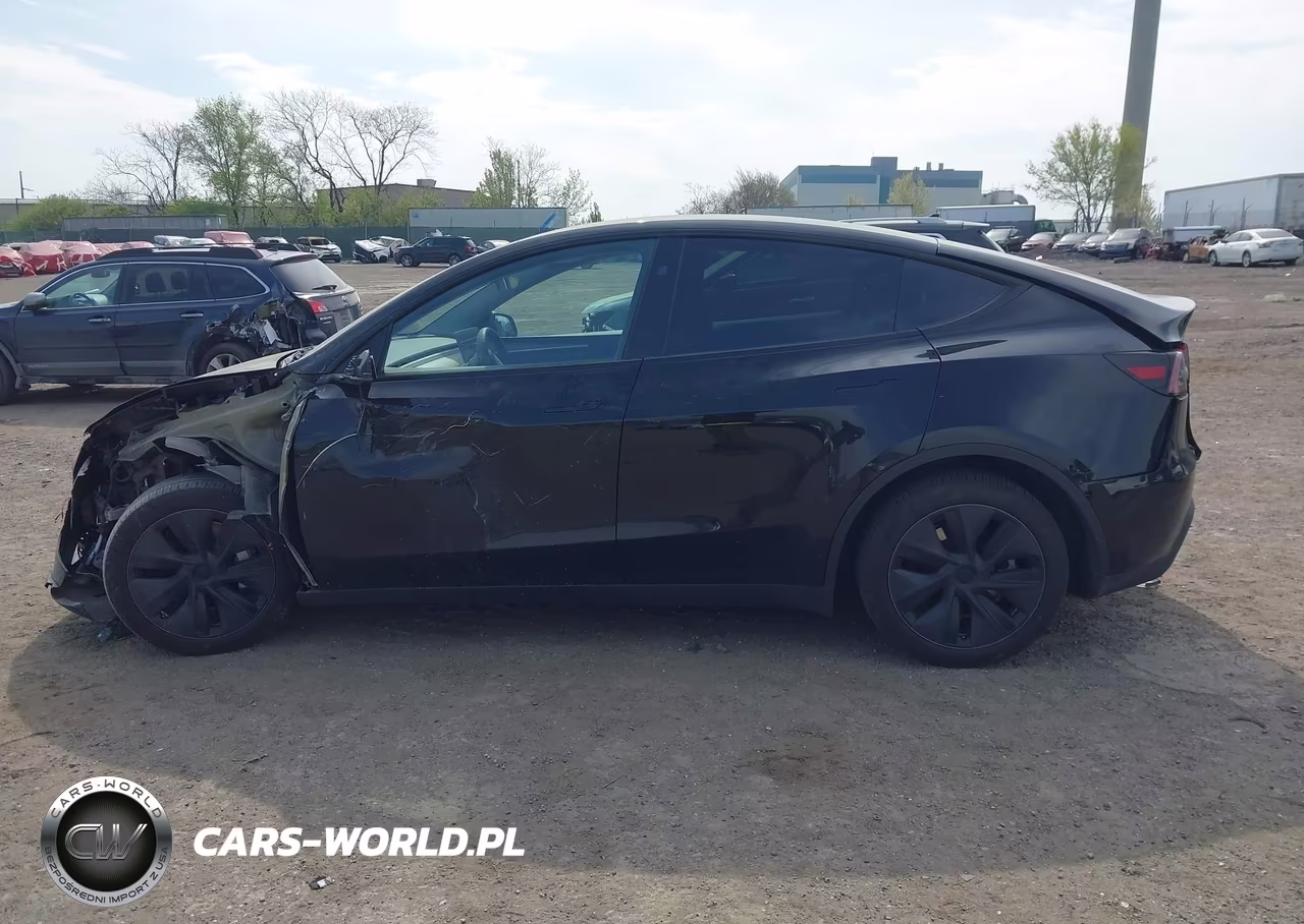 2025 Tesla Model Y Long Range Dual Motor All-Wheel Drive VIN:7SAYGDEE6SA360372 - 13