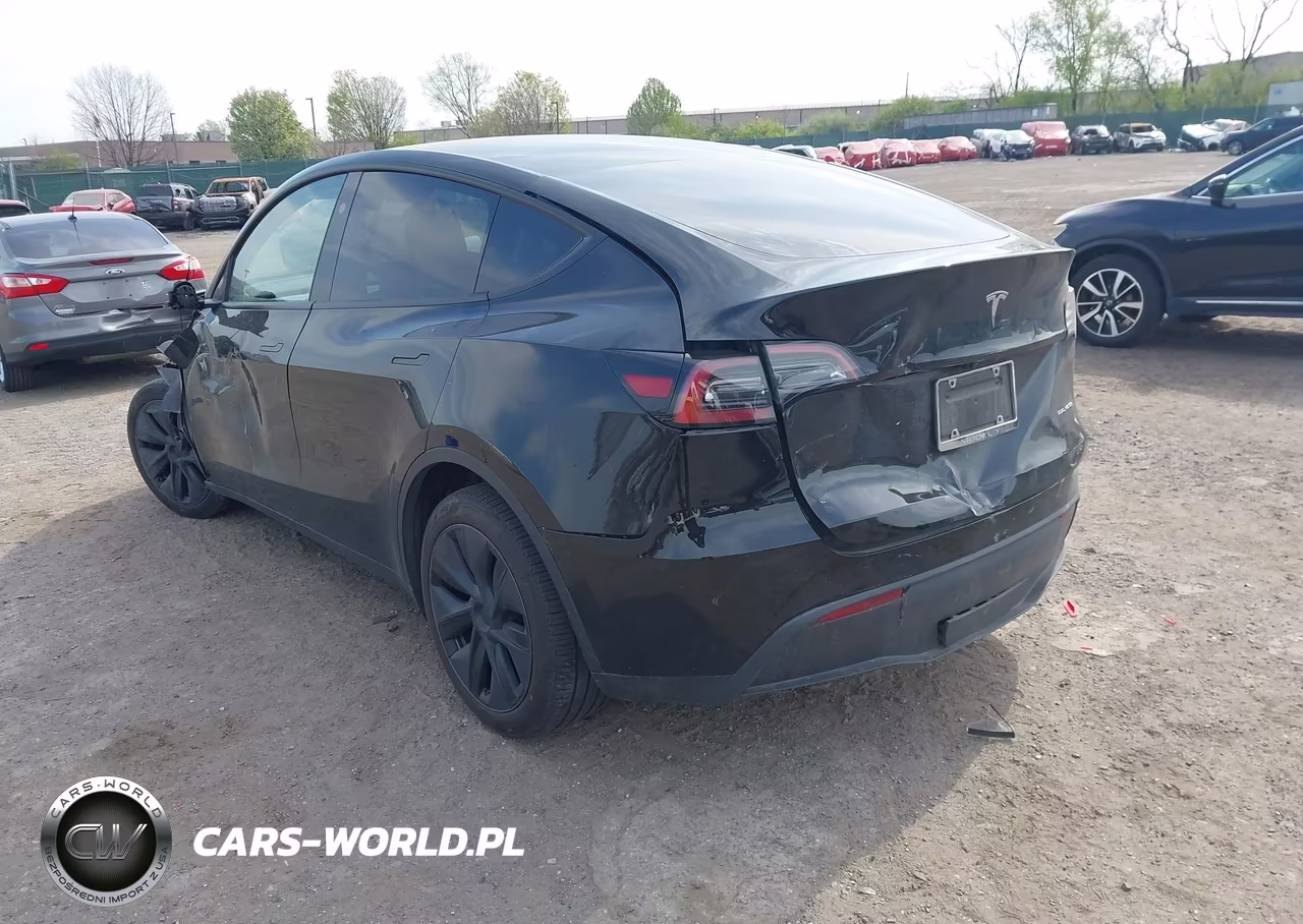 2025 Tesla Model Y Long Range Dual Motor All-Wheel Drive VIN:7SAYGDEE6SA360372 - 3