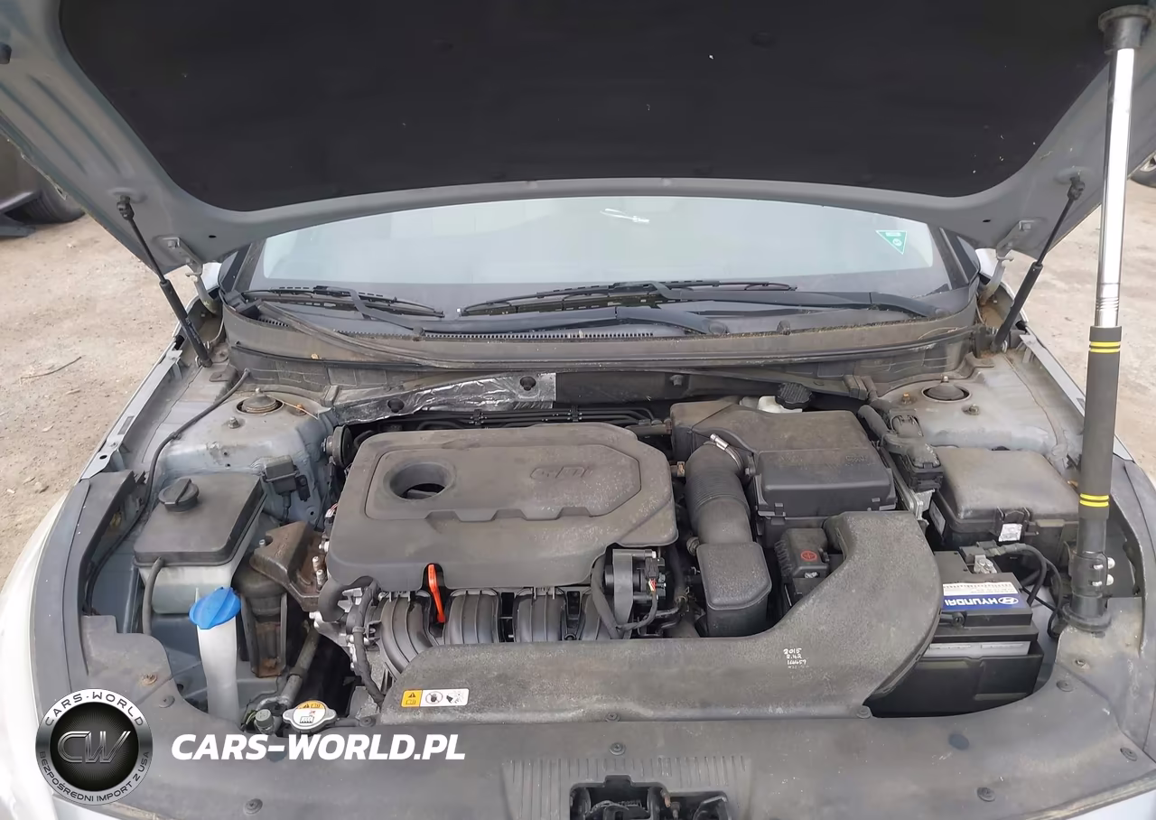 2015 Hyundai Sonata Se VIN:5NPE24AF5FH146657 - 10